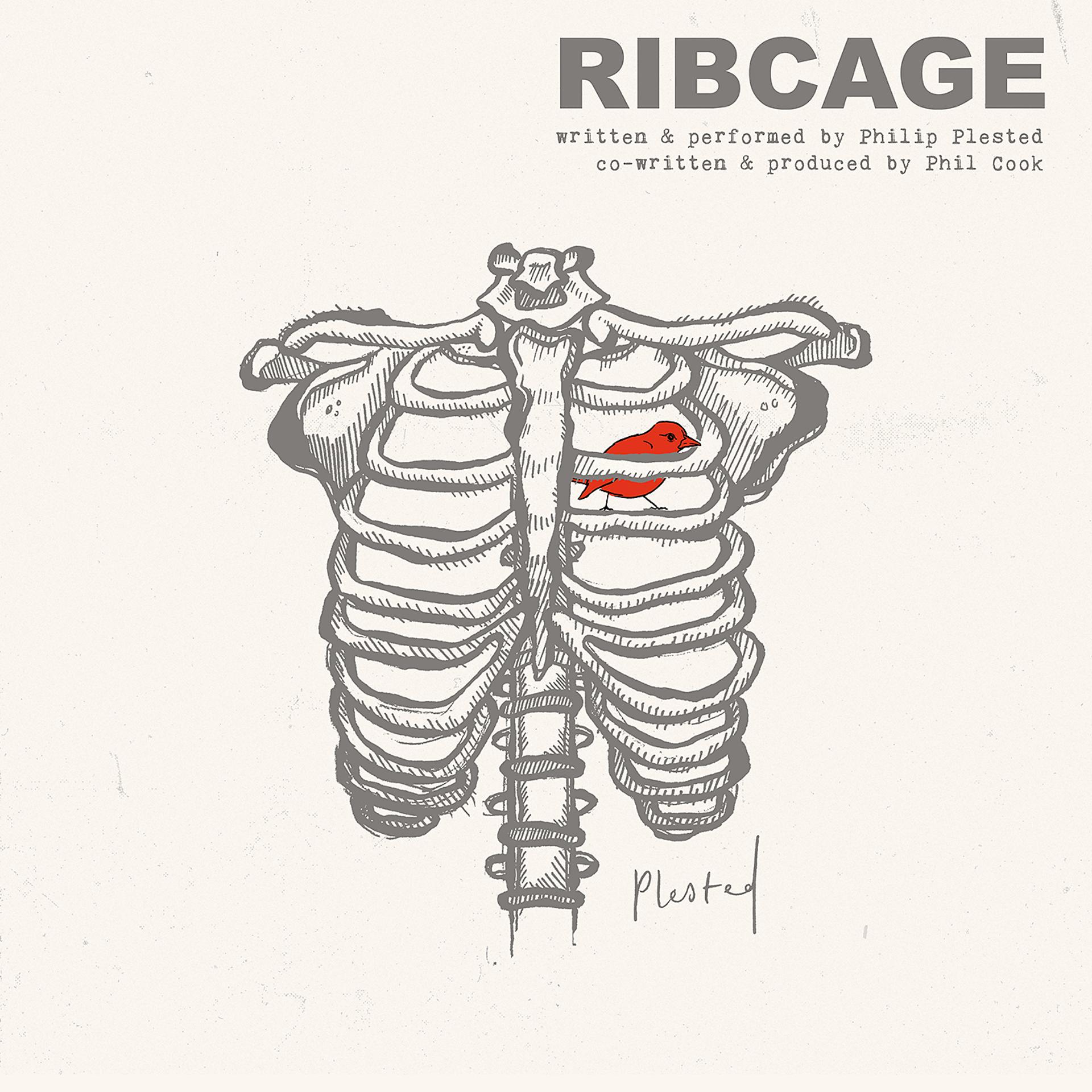 Постер альбома Ribcage