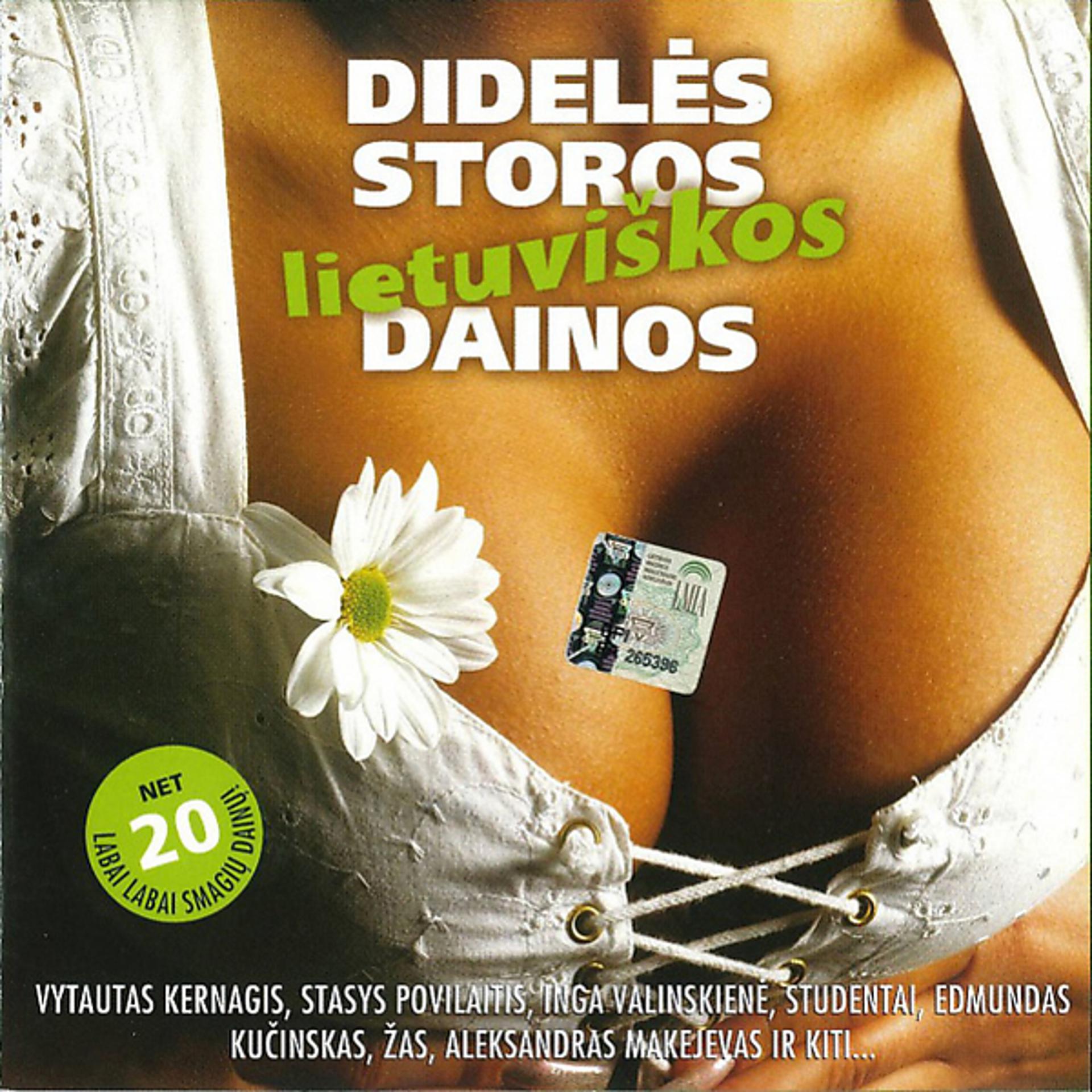 Постер альбома Didelės Storos Lietuviškos Dainos