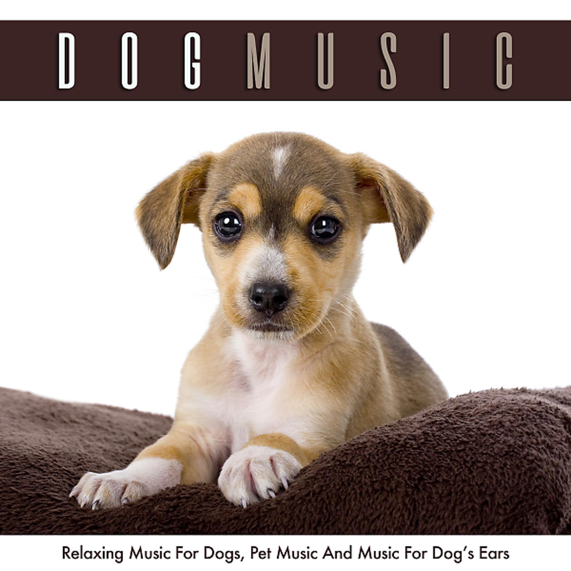 Постер альбома Dog Music: Relaxing Music For Dogs, Pet Music and Music for Your Dog’s Ears