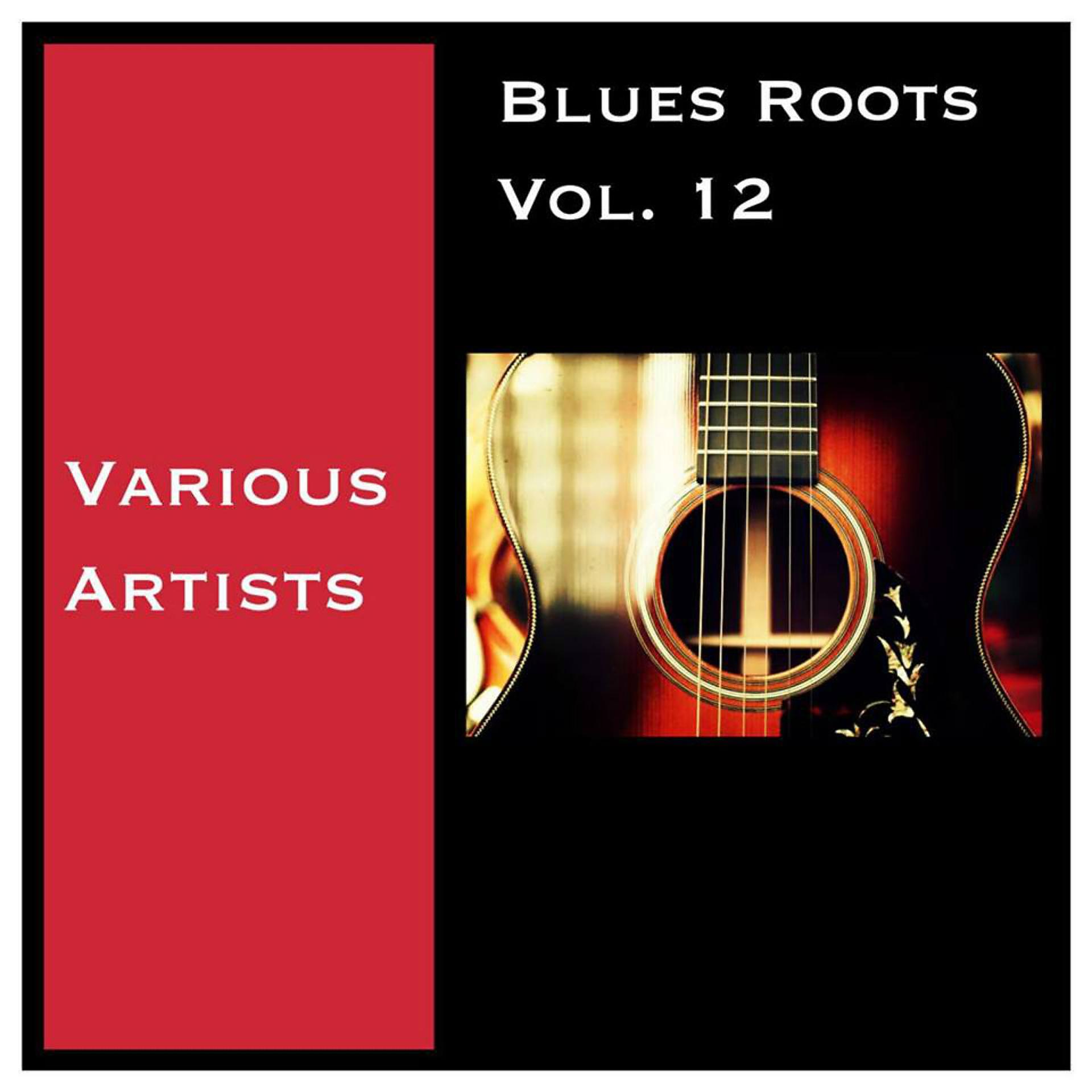 Постер альбома Blues Roots, Vol. 12