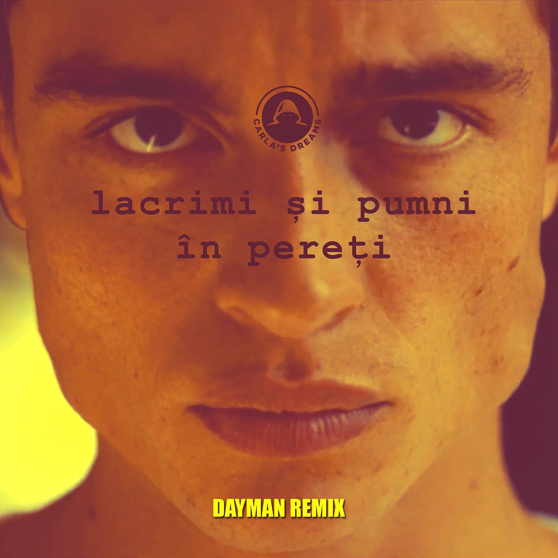 Постер альбома Lacrimi Si Pumni In Pereti