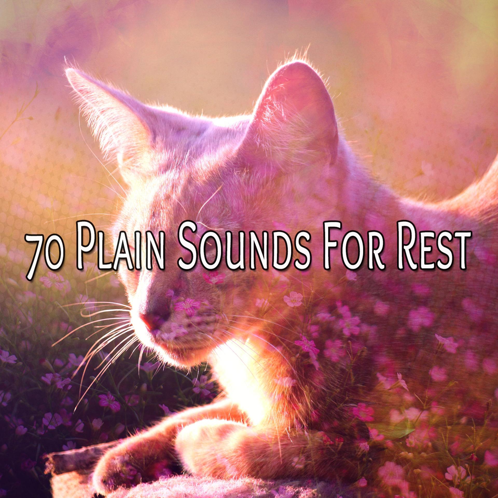 Постер альбома 70 Plain Sounds For Rest