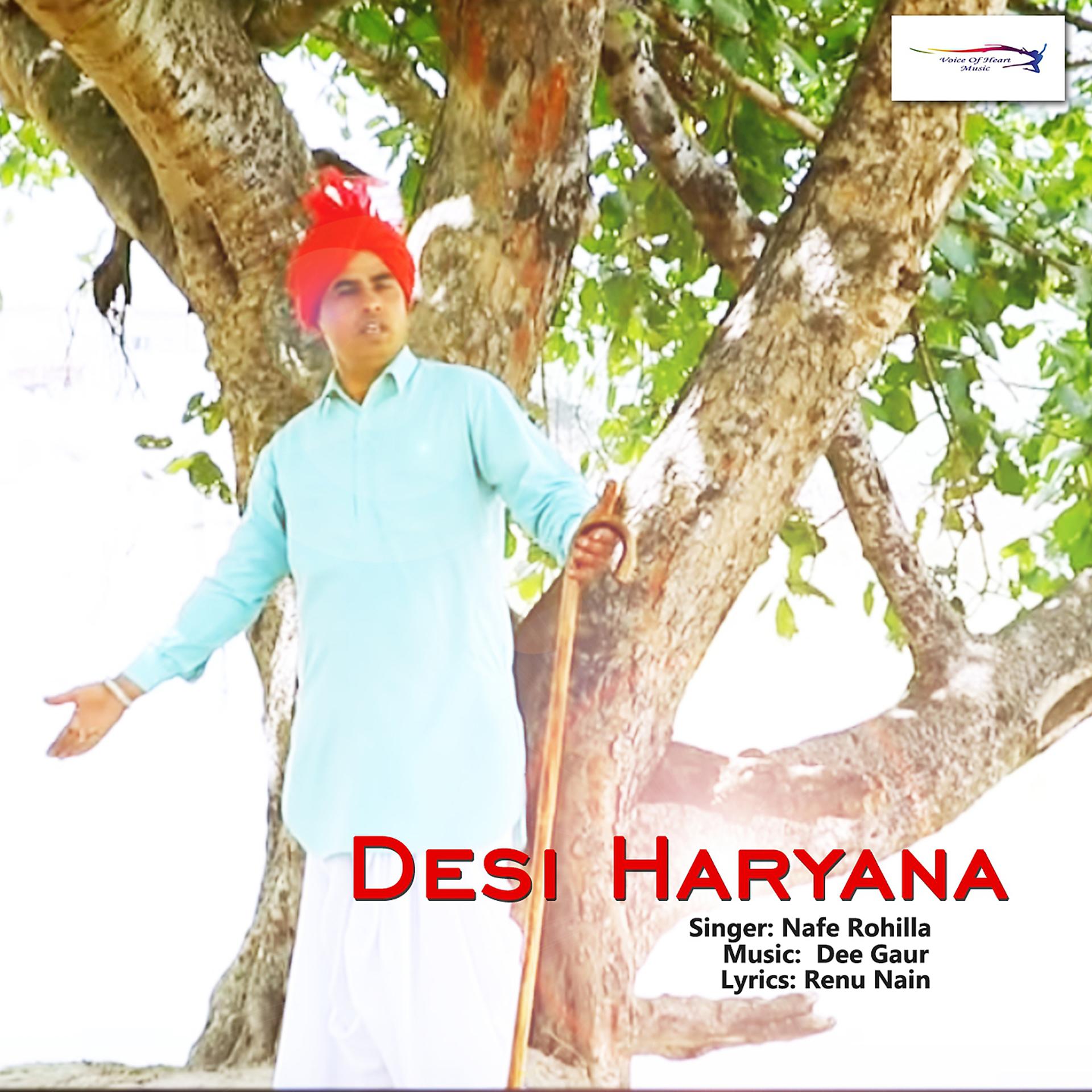 Постер альбома Desi Haryana