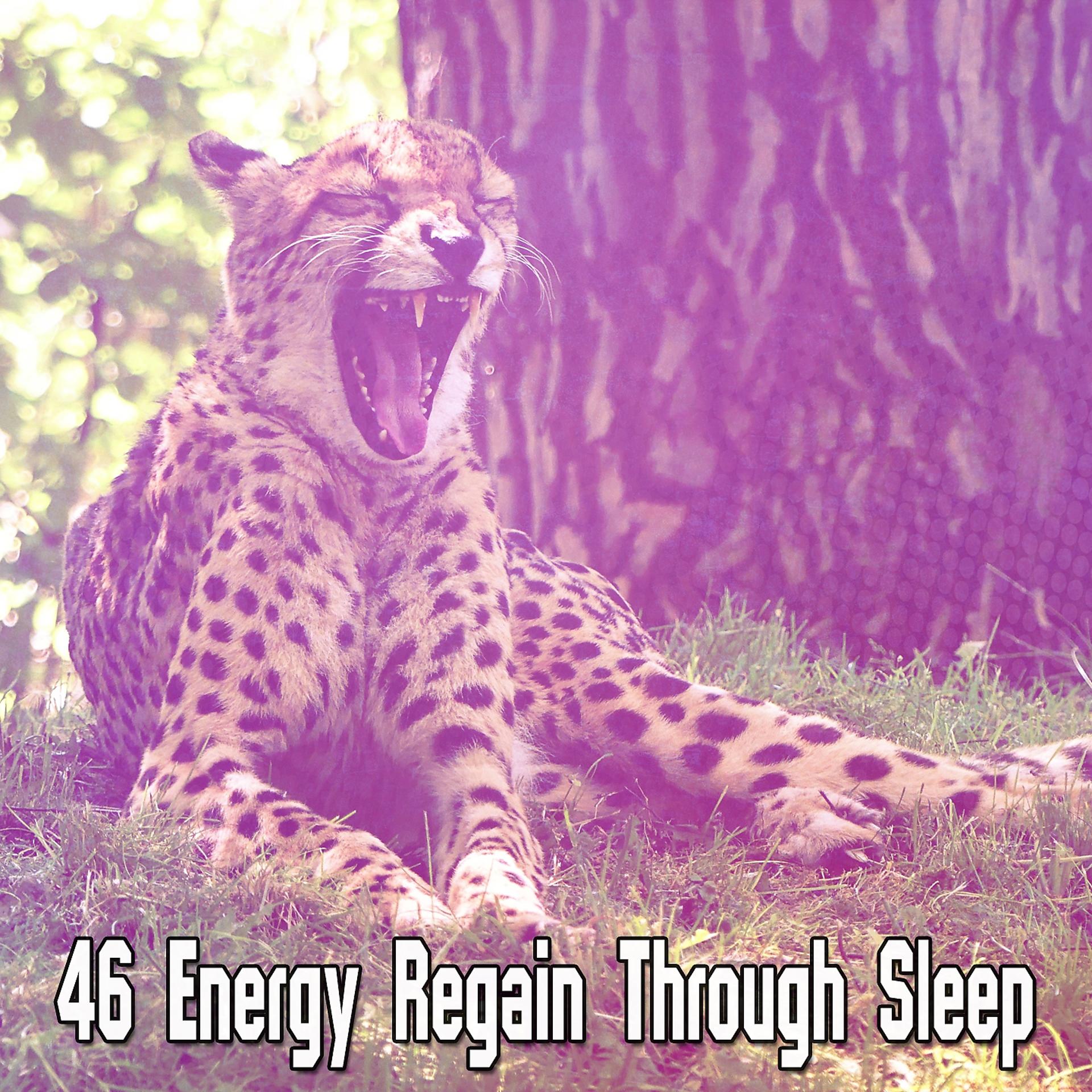 Постер альбома 46 Energy Regain Through Sleep