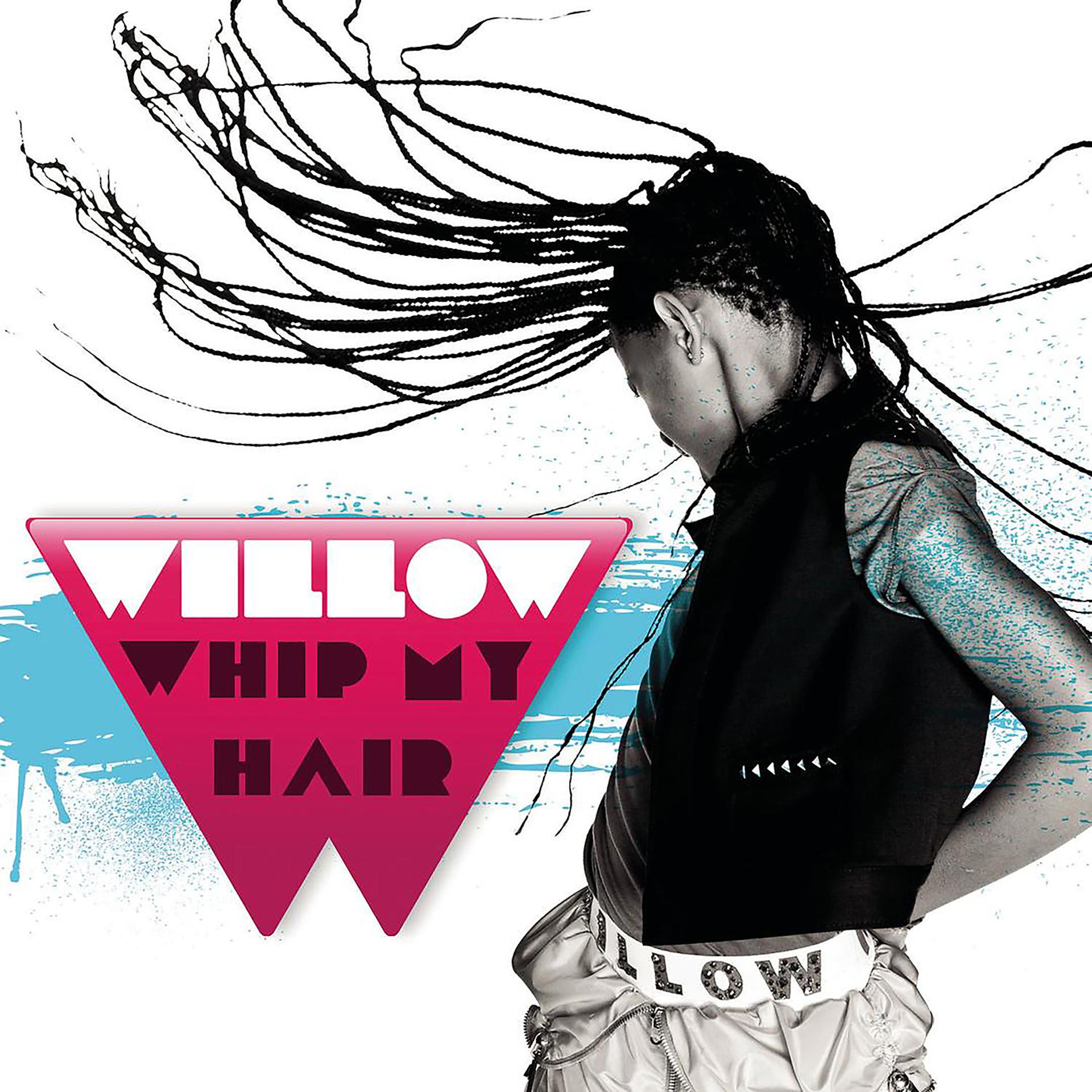 Постер альбома Whip My Hair