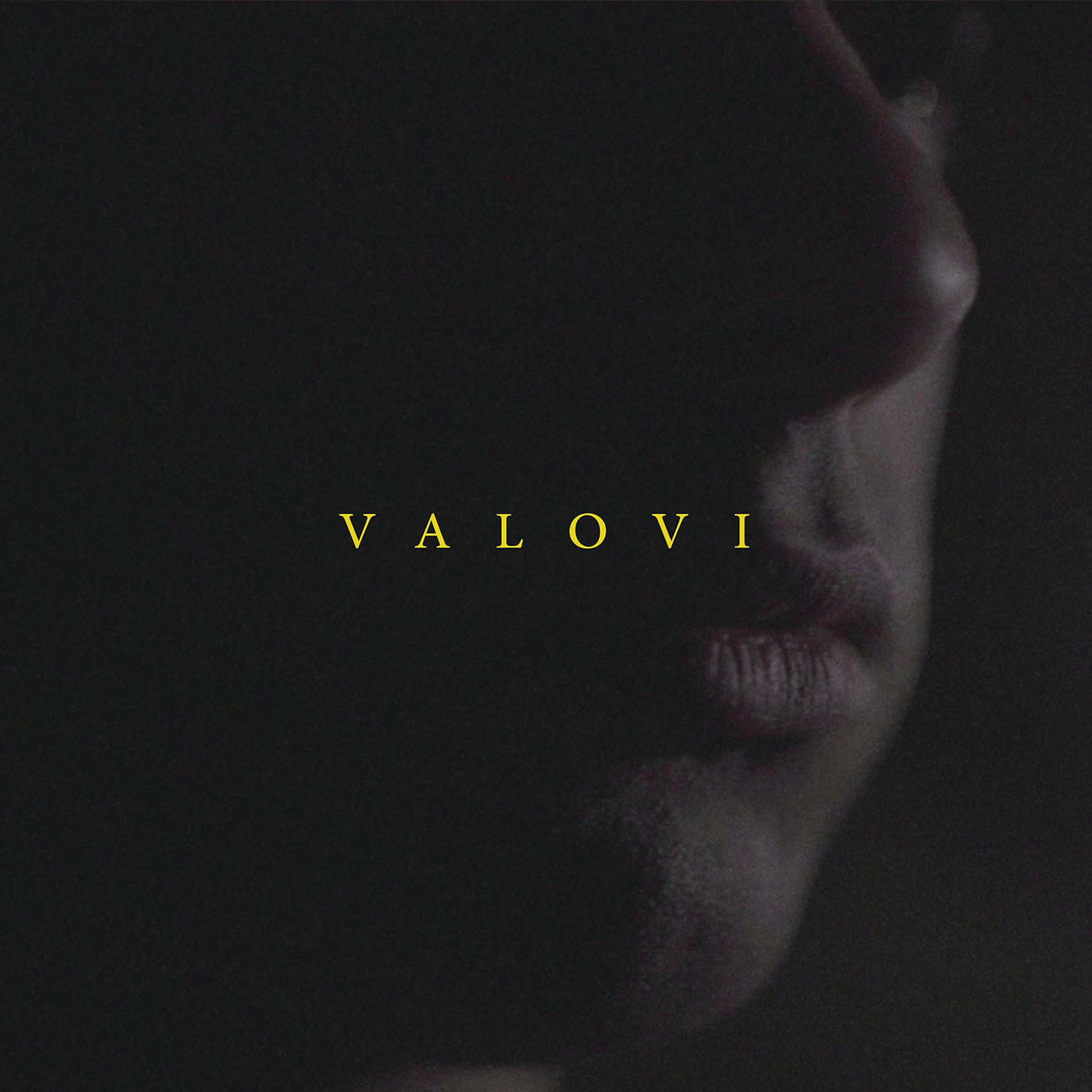 Постер альбома Valovi