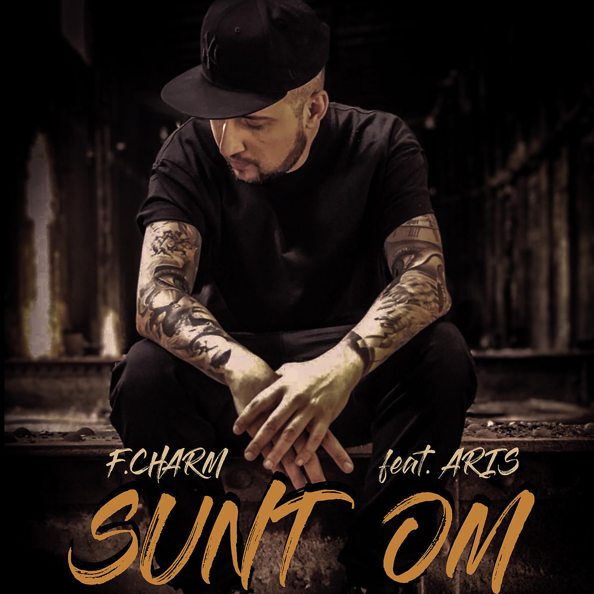 Постер альбома Sunt Om