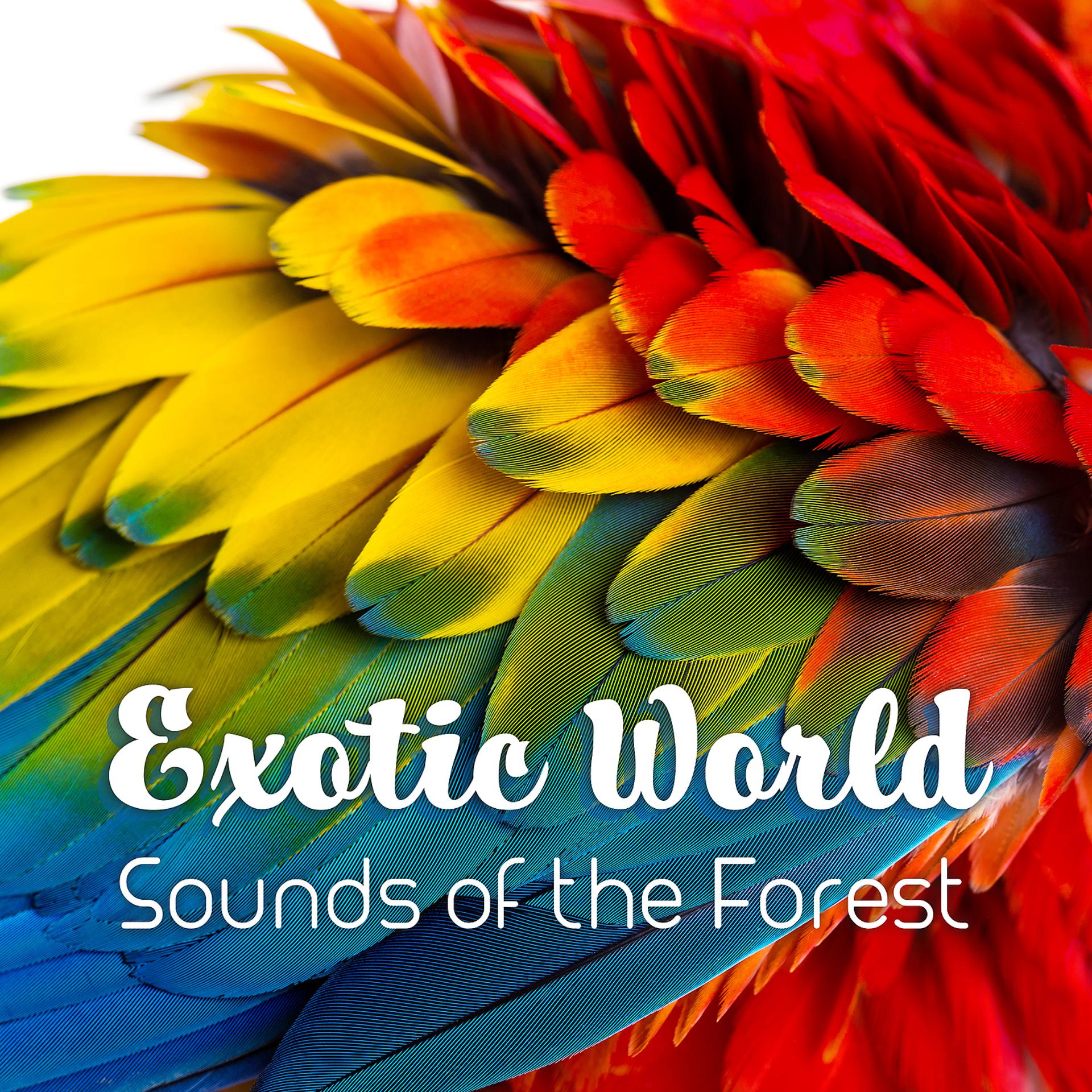 Постер альбома Exotic World - Sounds of the Forest, Sea, Birds, Tropical Rainforest, Night Animals and Wild Life for Deep Relaxation and Mental Restoration