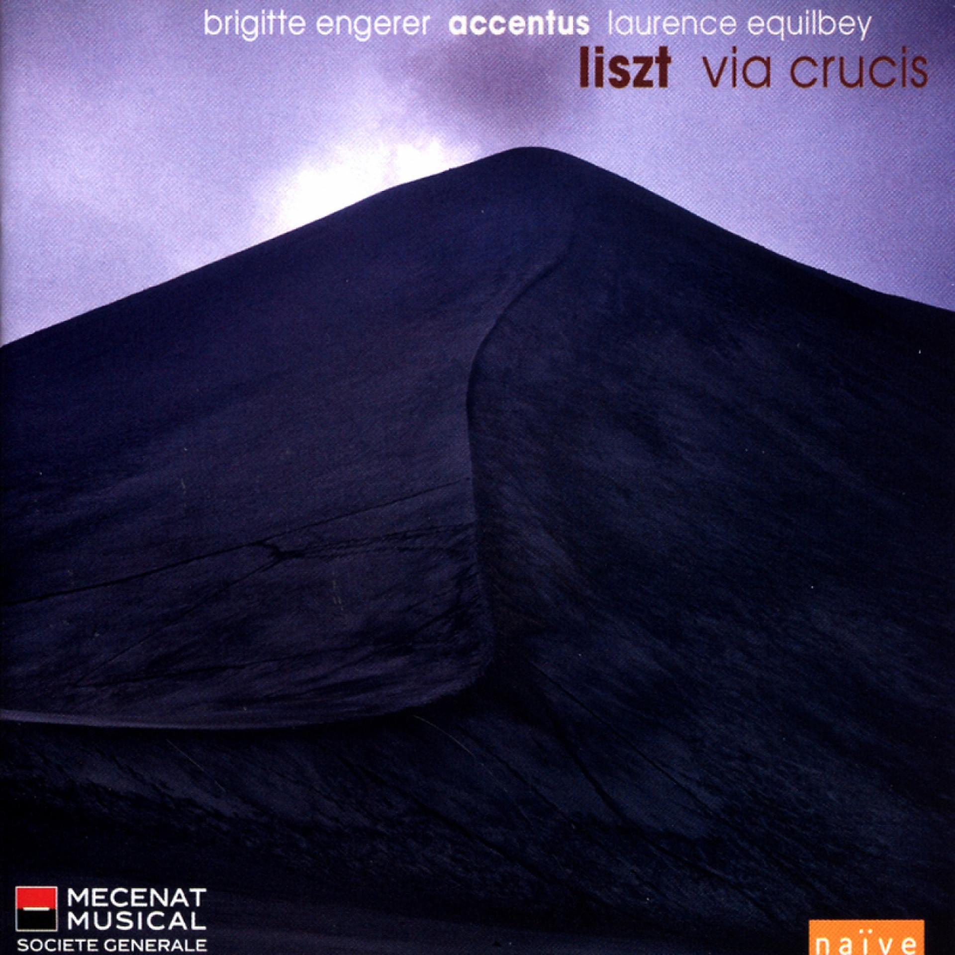 Постер альбома Liszt: Via Crucis