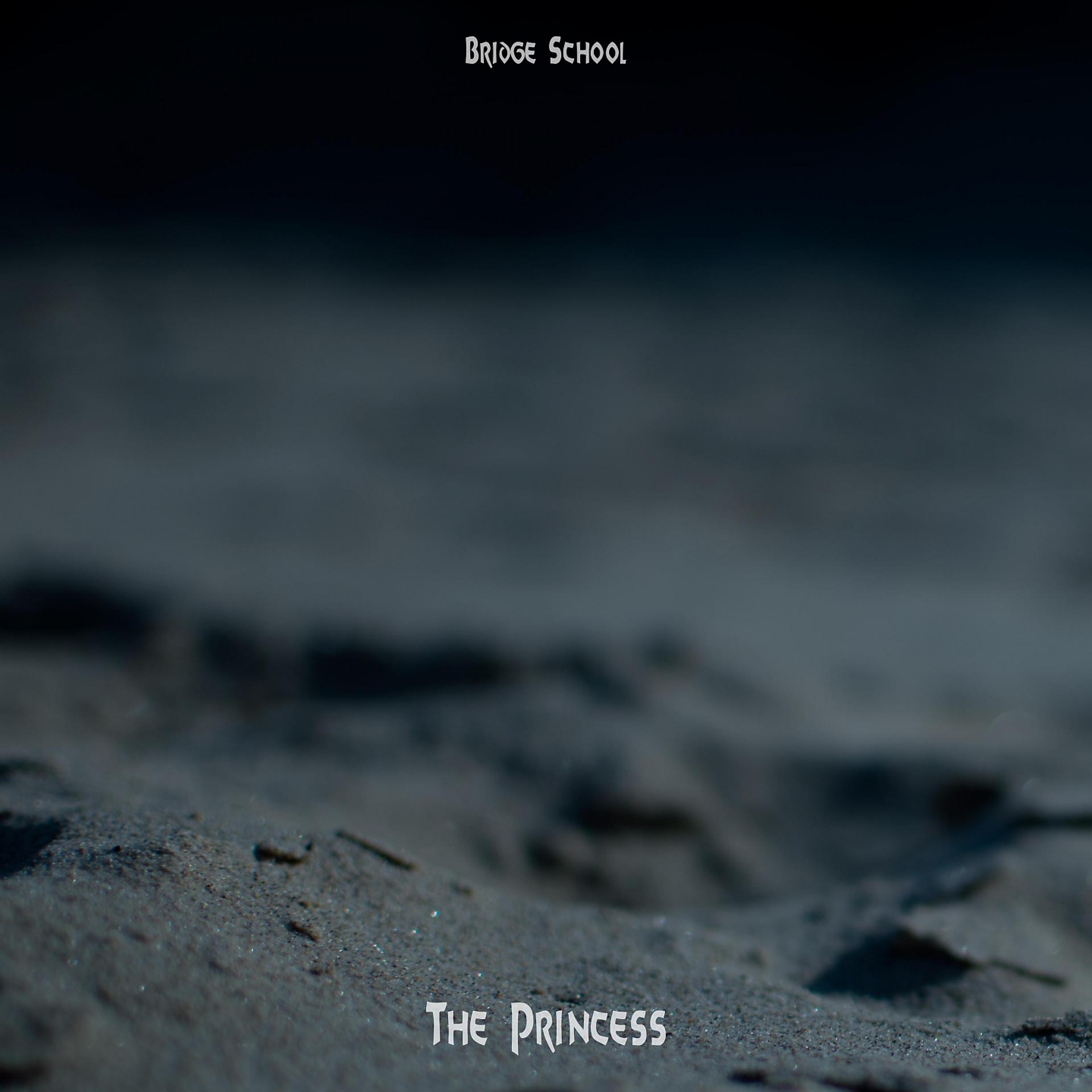 Постер альбома The Princess