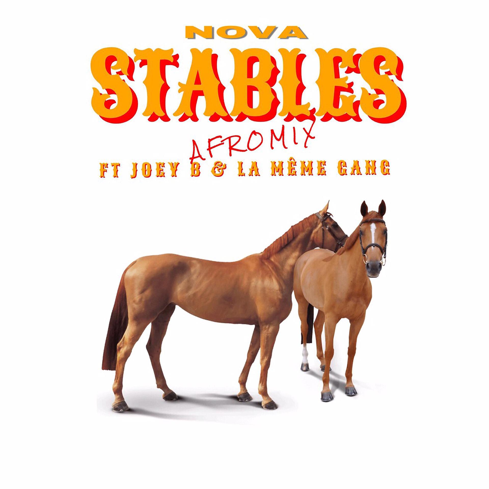 Постер альбома Stables
