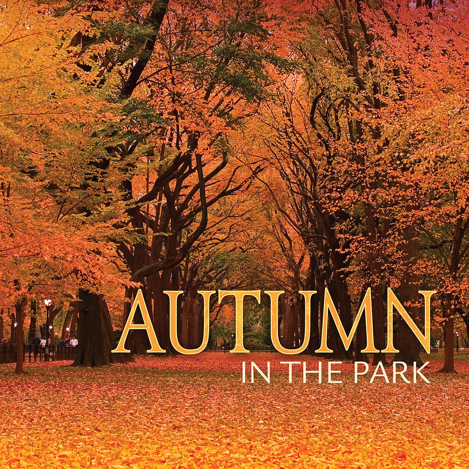Постер альбома Autumn In The Park