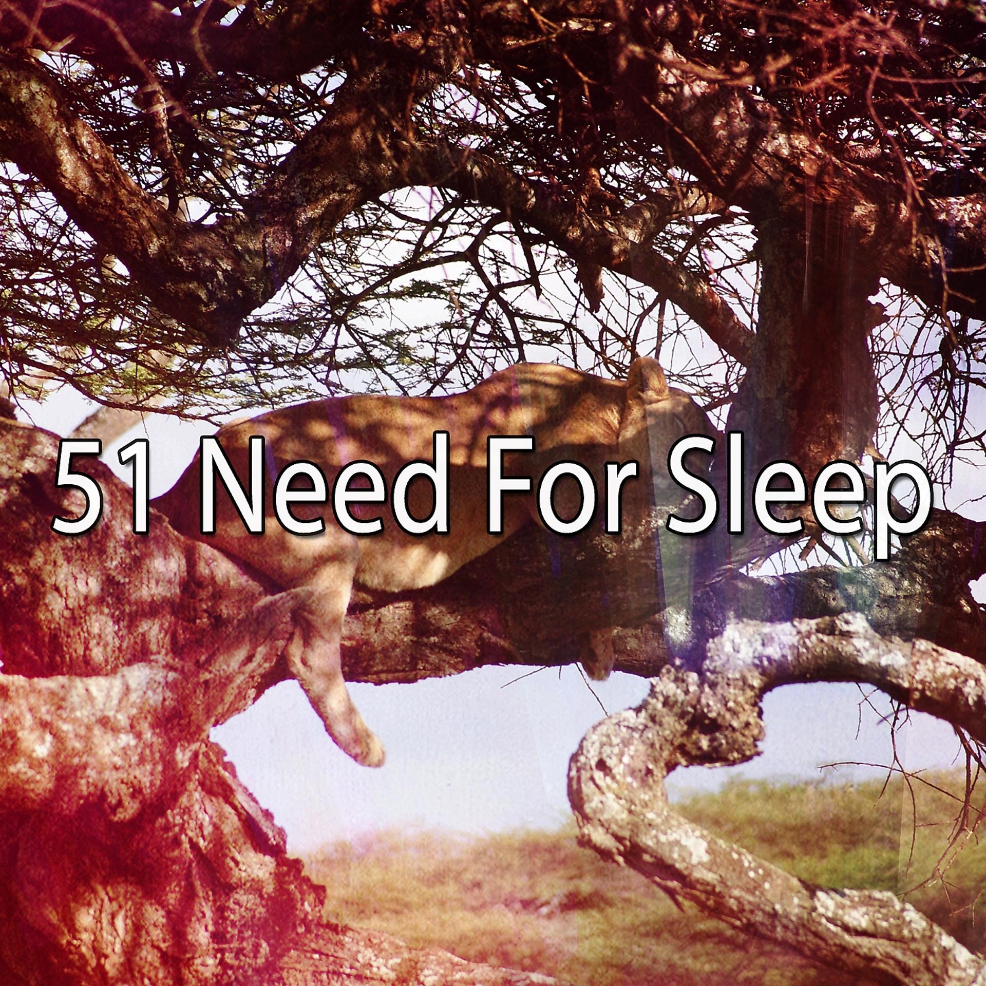 Постер альбома 51 Need For Sleep
