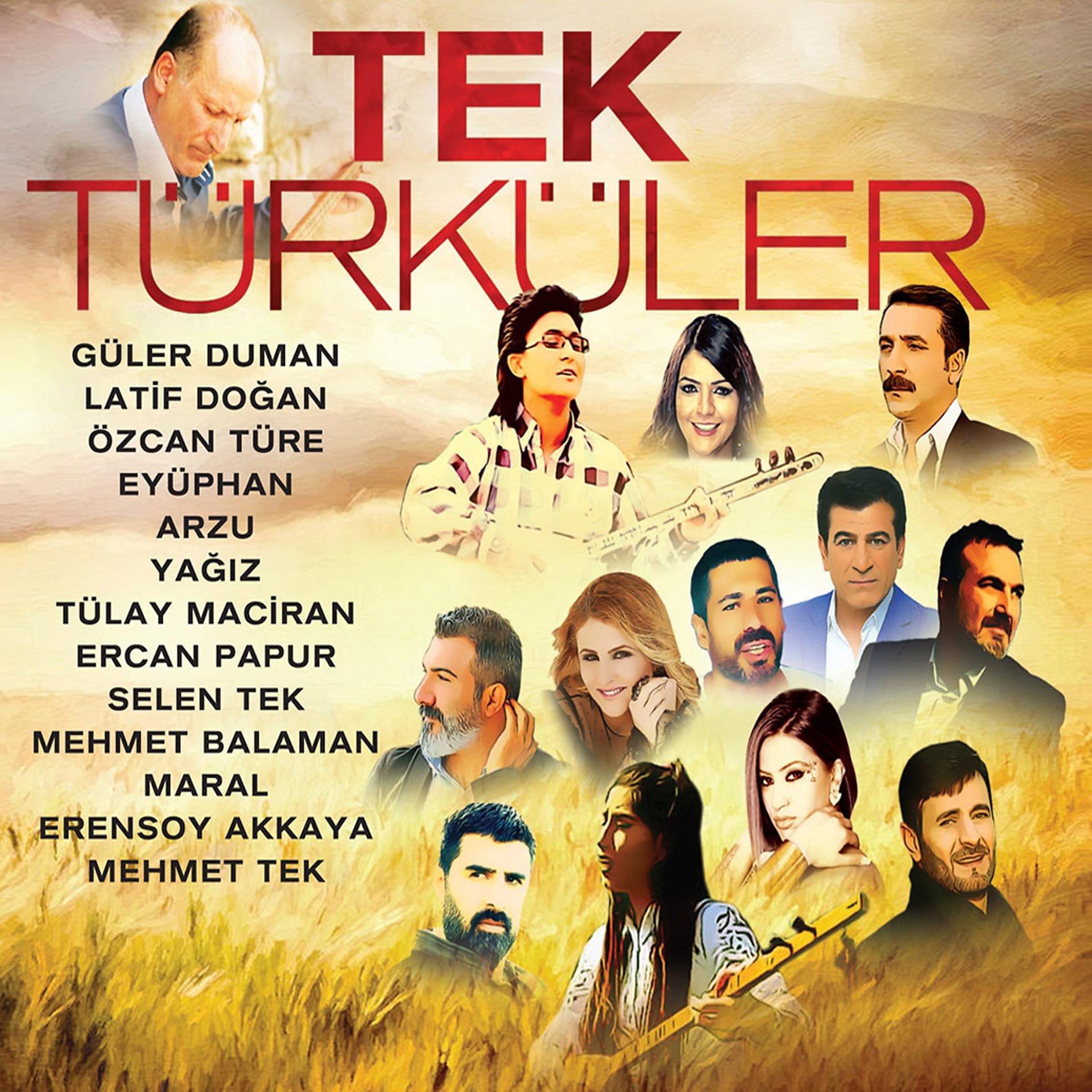 Постер альбома Tek Türküler
