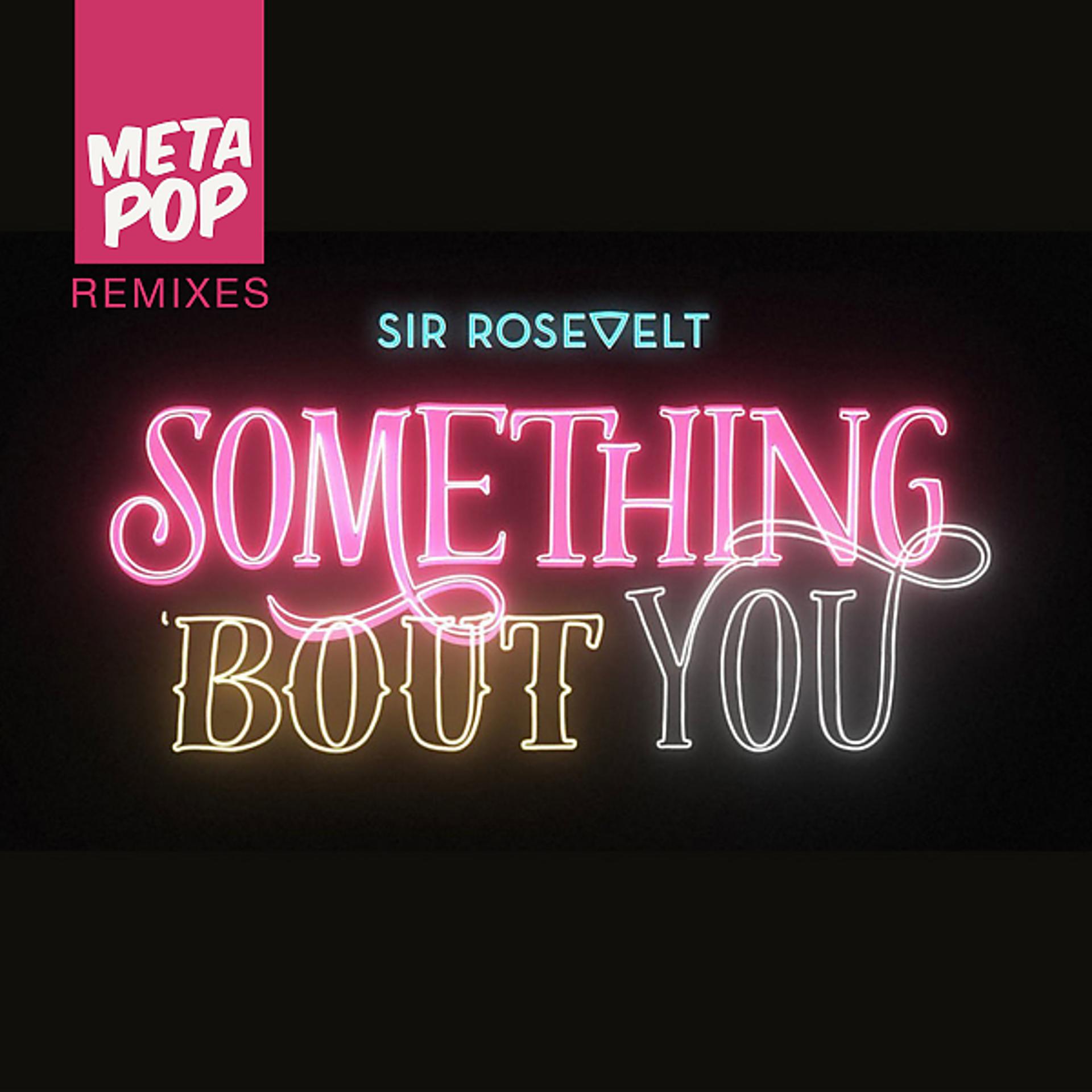 Постер альбома Something Bout You: MetaPop Remixes (Ryan Taylor Remix)