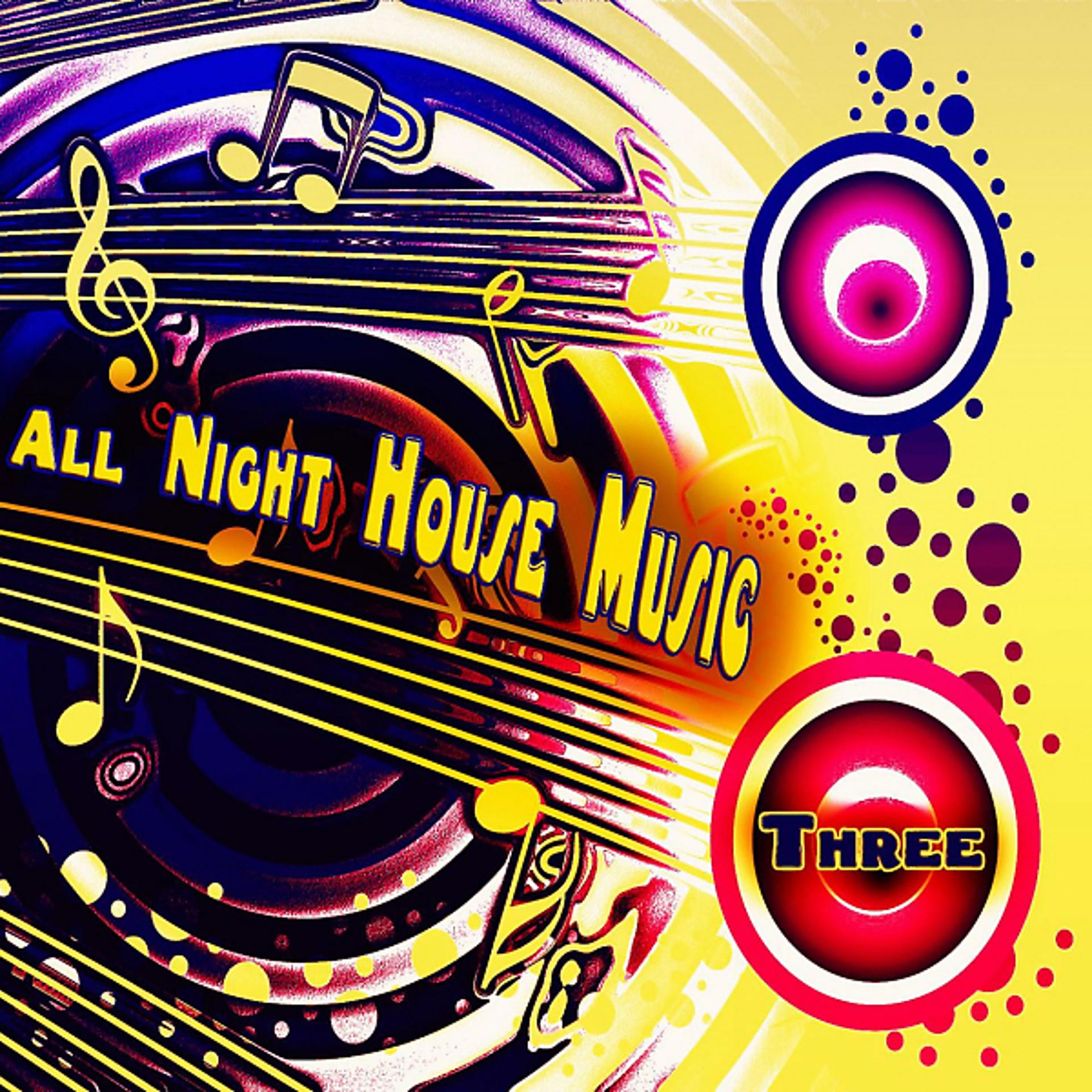 Постер альбома All Night House Music,Three (House Selected Flavours)