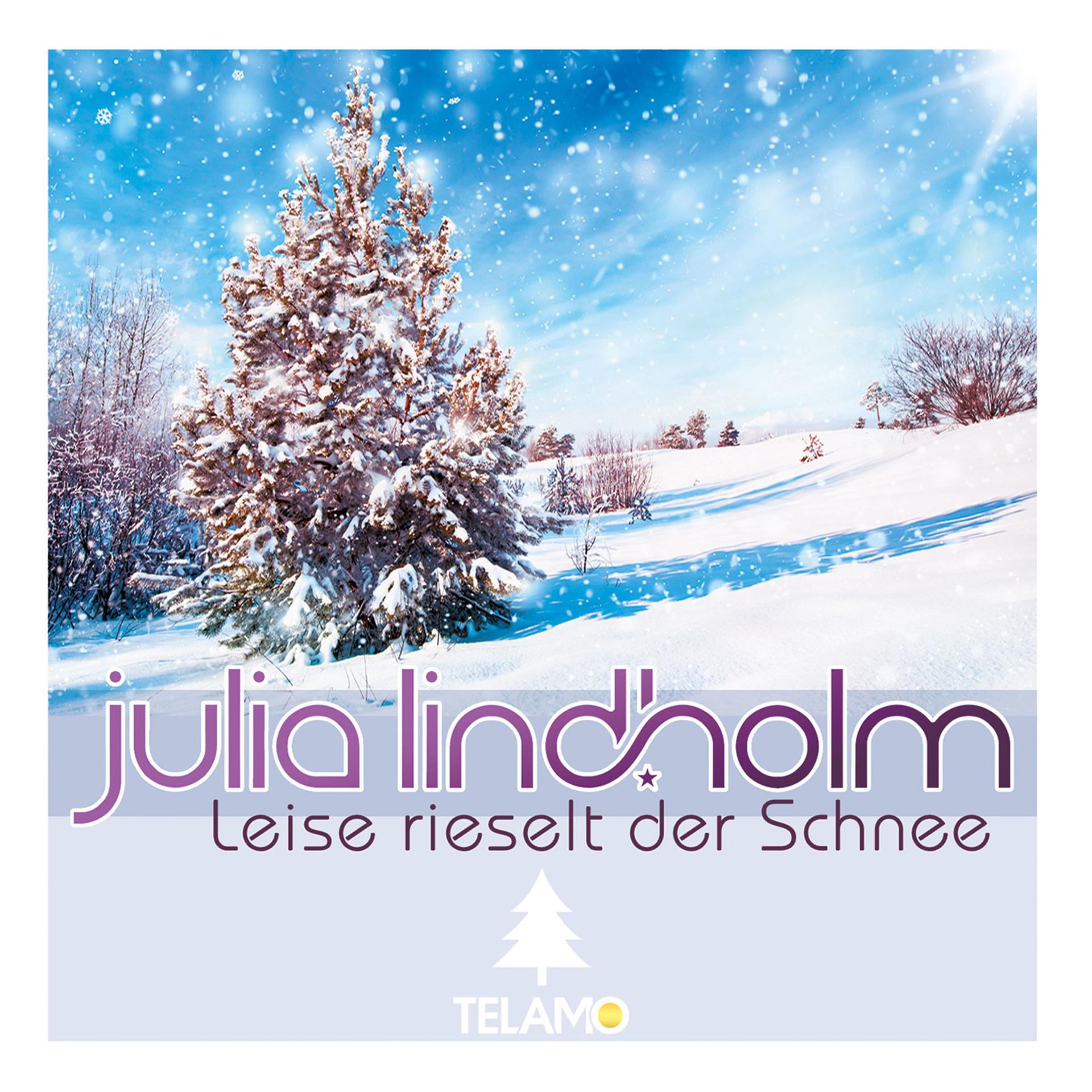 Постер альбома Leise rieselt der Schnee