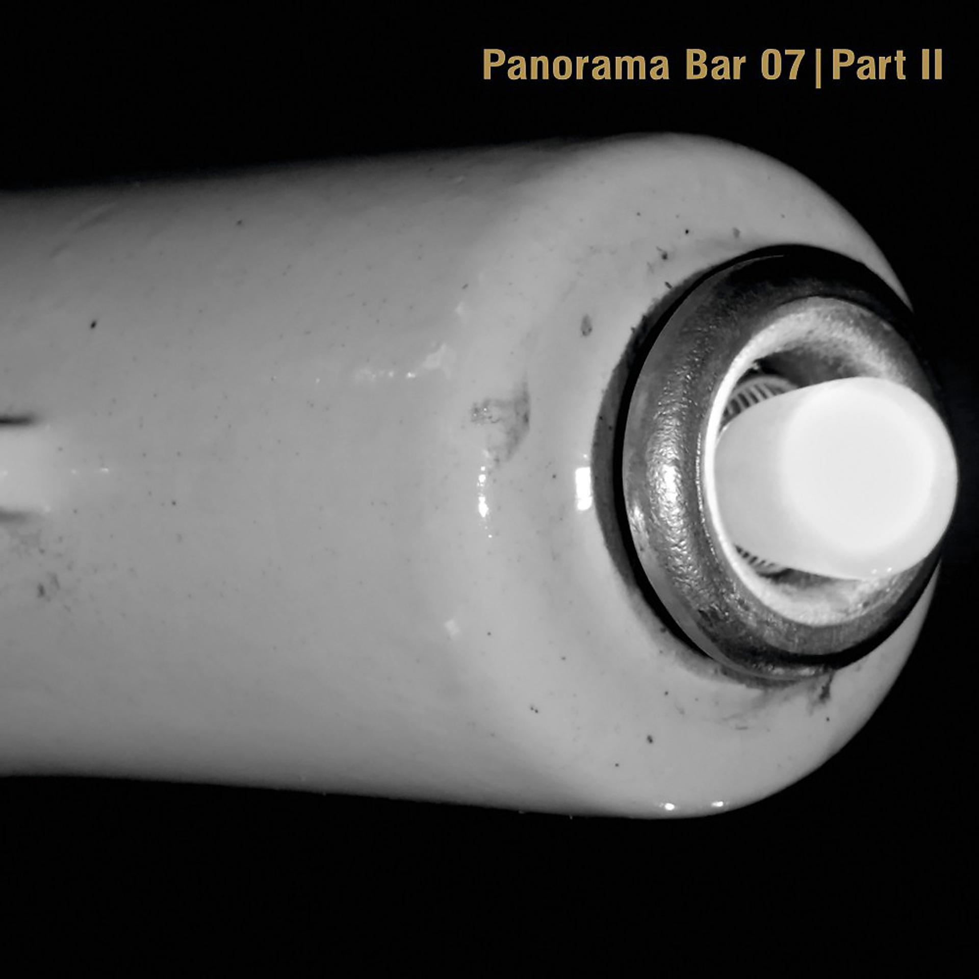 Постер альбома Panorama Bar 07, Pt. 2