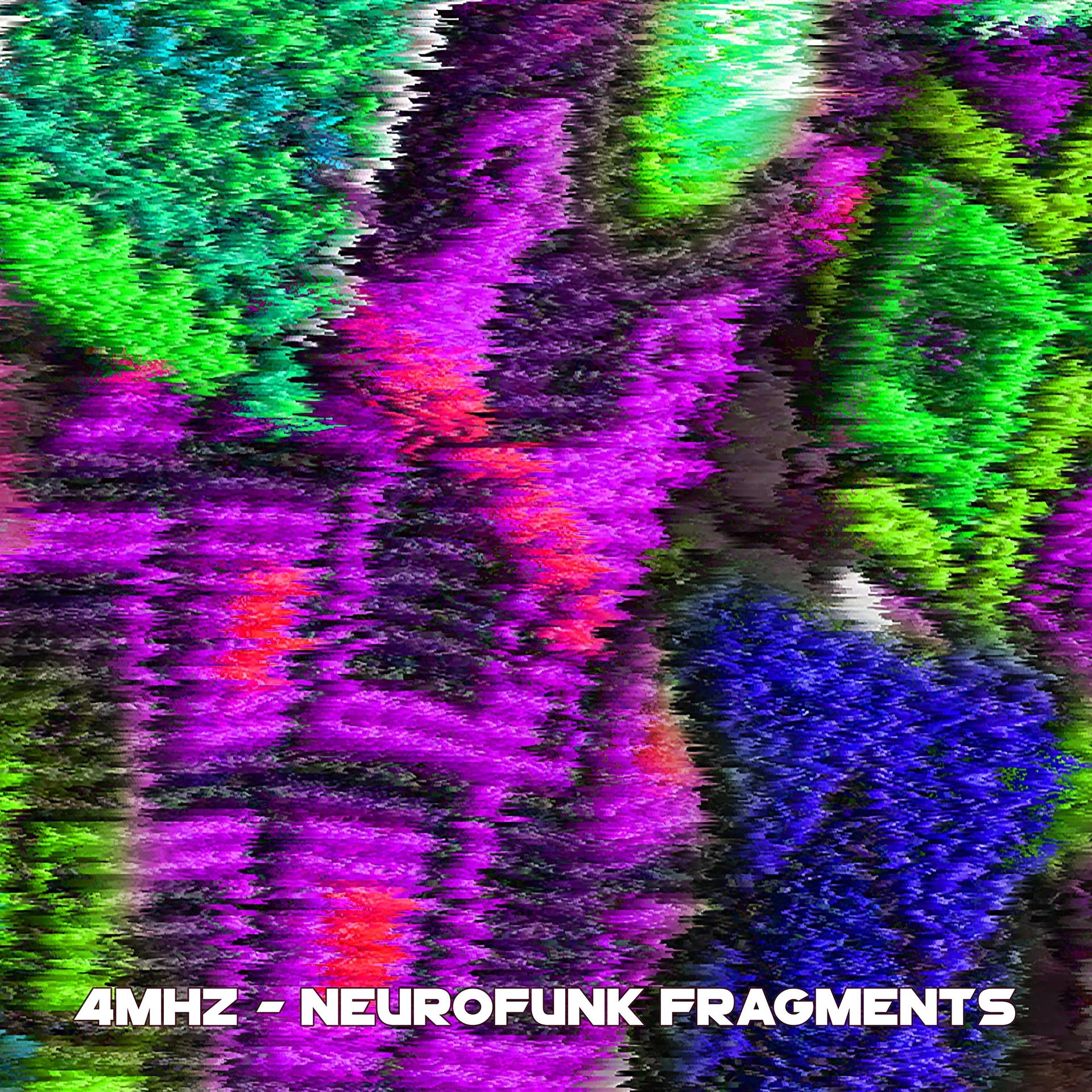 Постер альбома Neurofunk Fragments