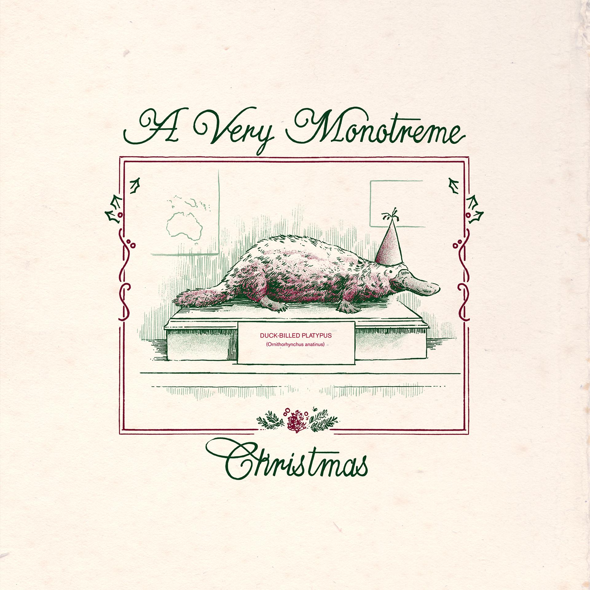 Постер альбома A Very Monotreme Christmas