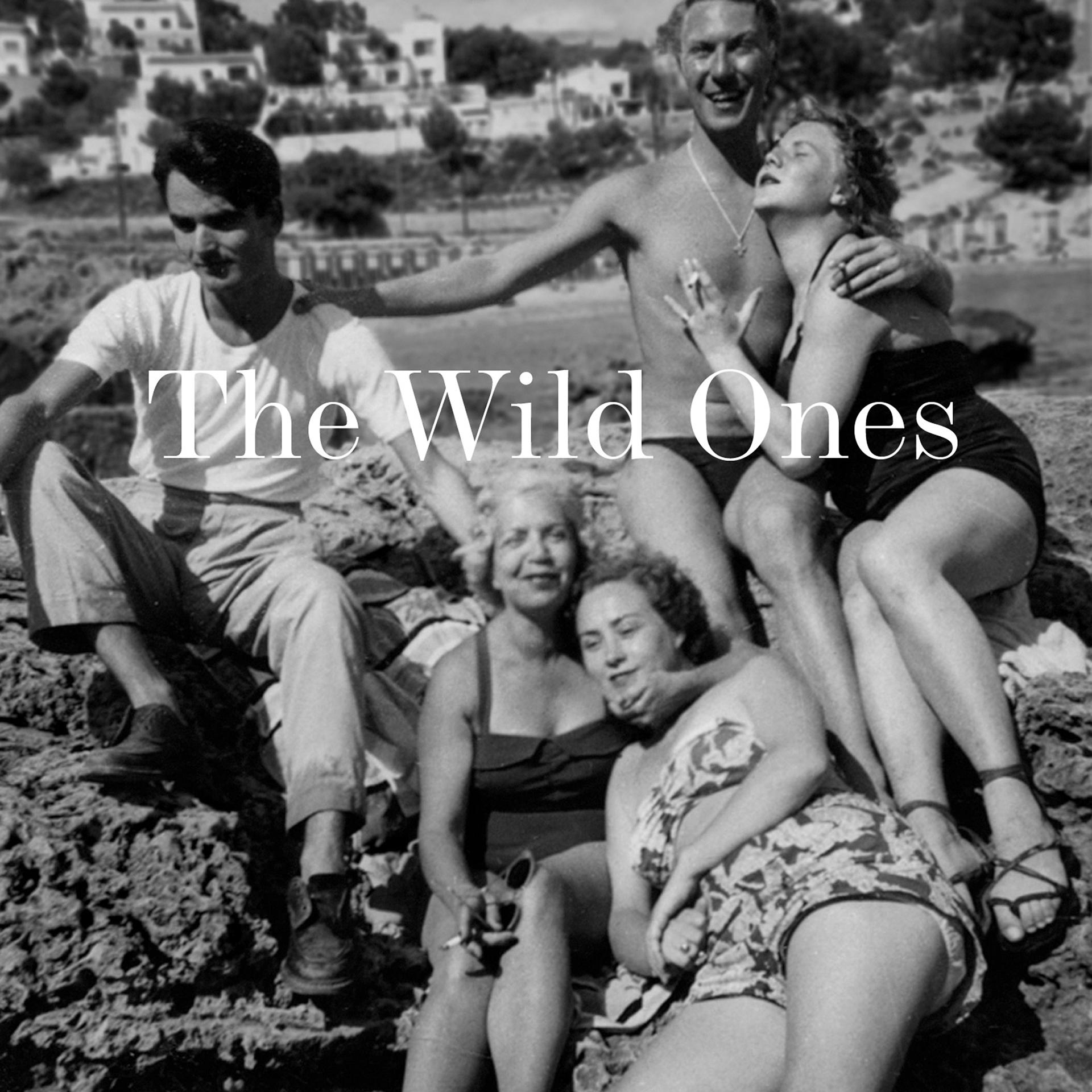 Постер альбома The Wild Ones Original Soundtrack