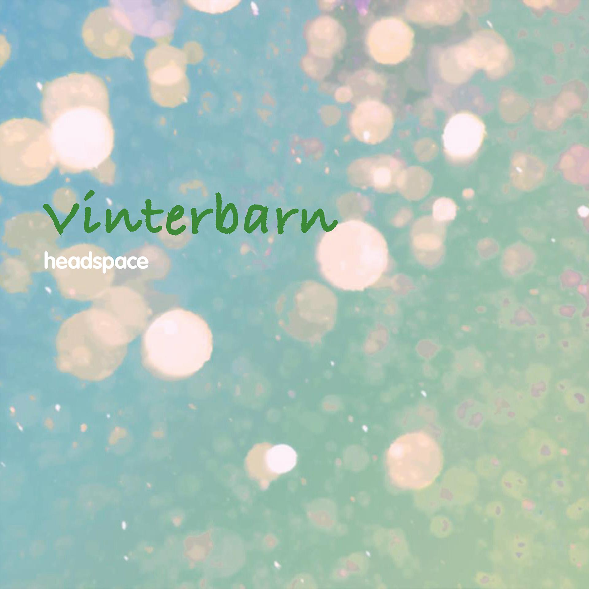 Постер альбома Vinterbarn