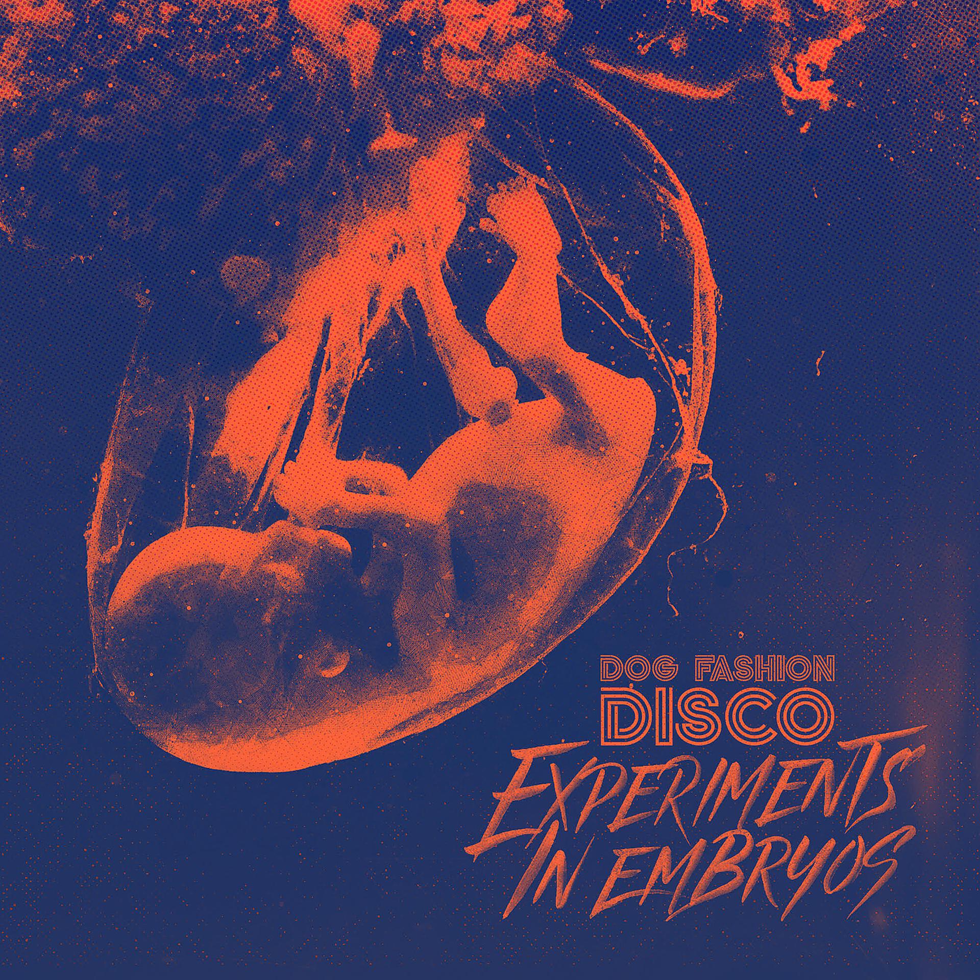 Постер альбома Experiments in Embryos