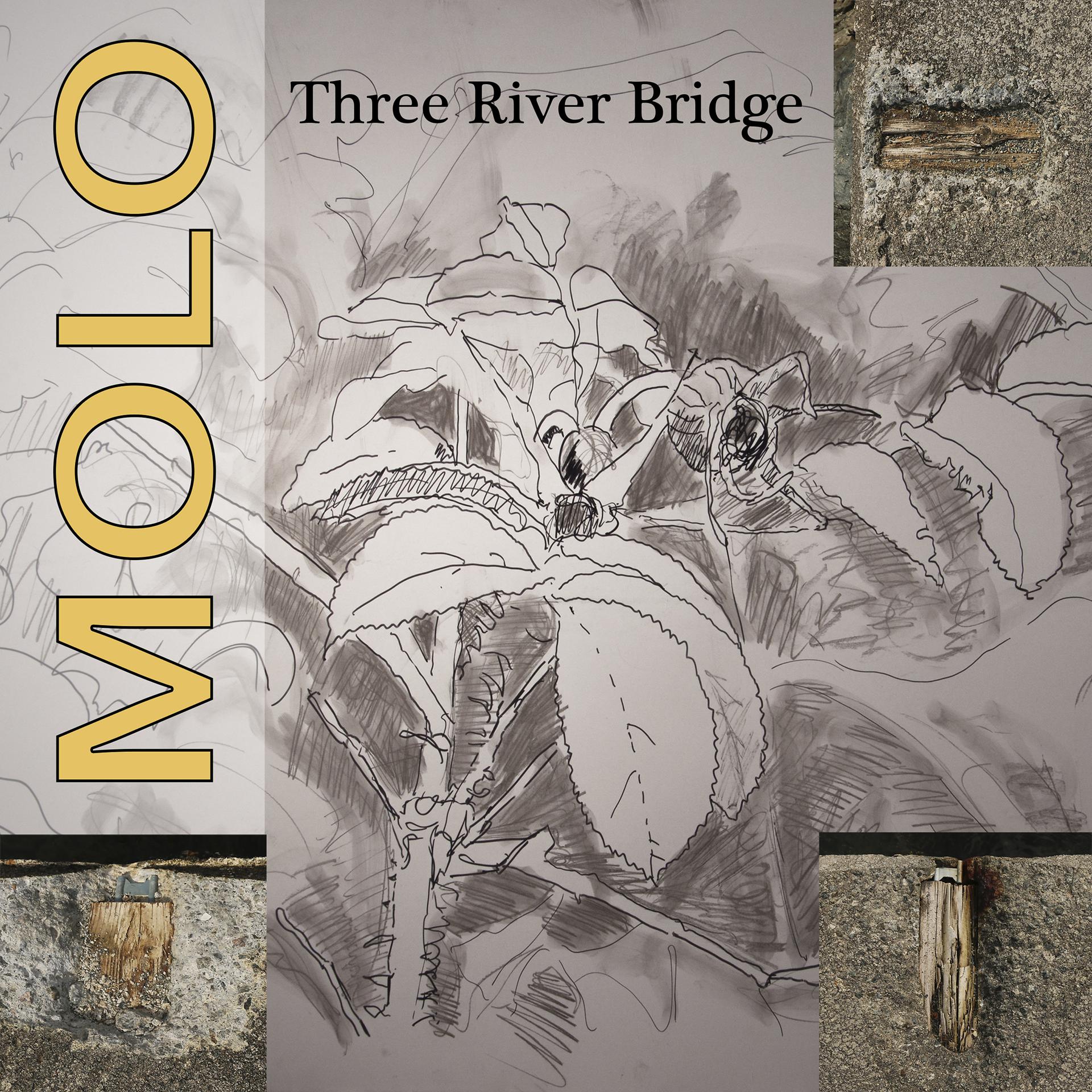 Постер альбома Three River Bridge