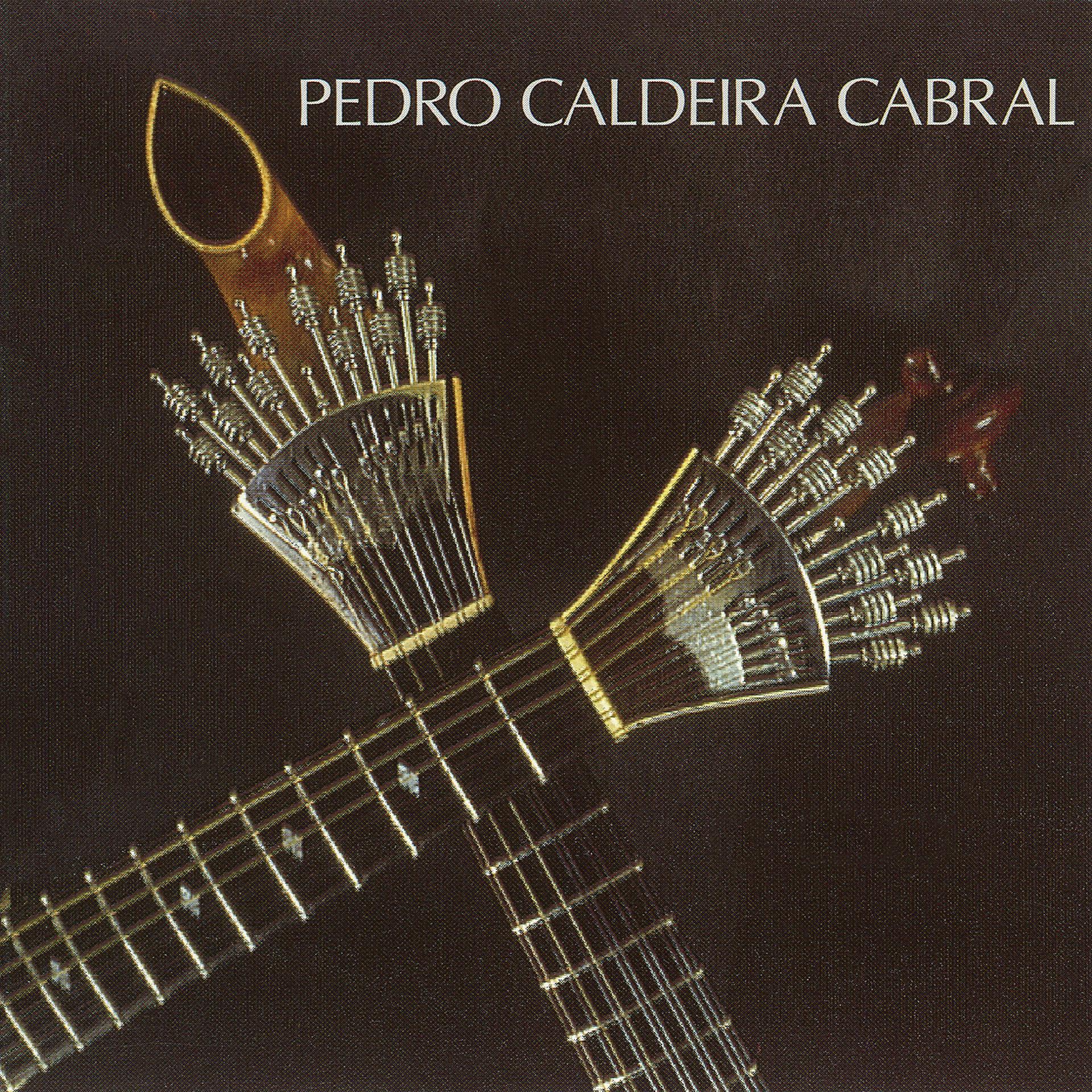 Постер альбома Pedro Caldeira Cabral