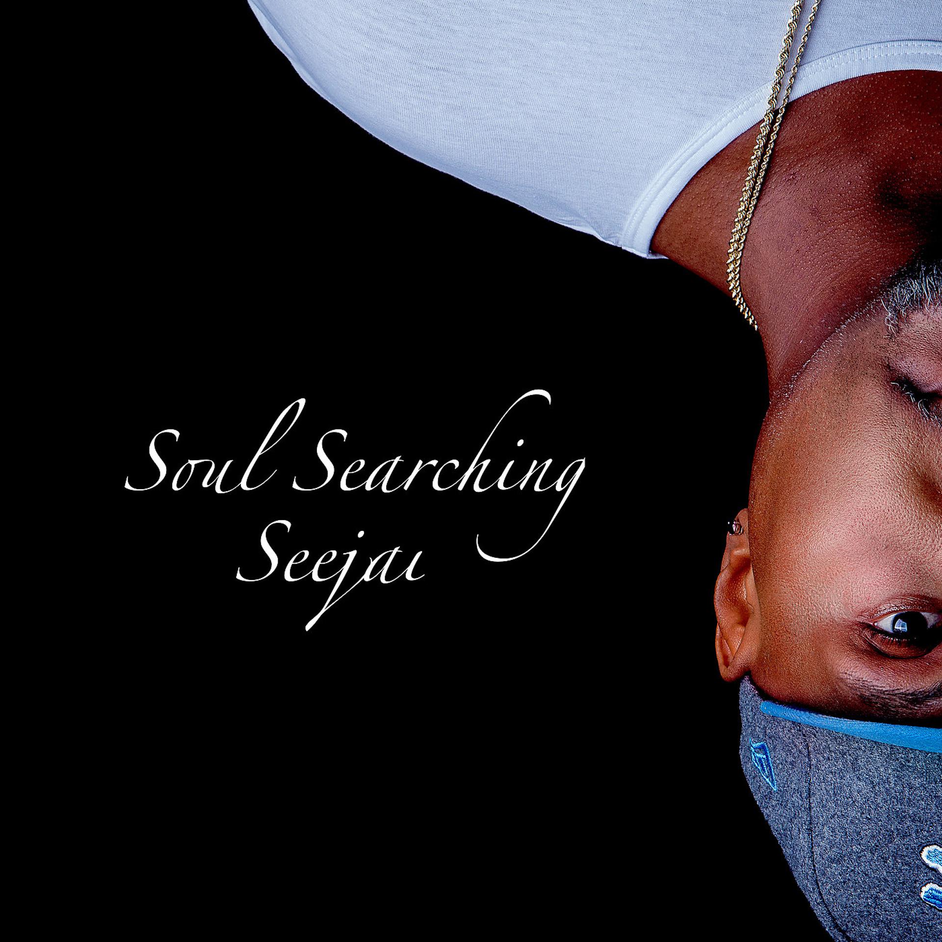 Постер альбома Soul Seaching