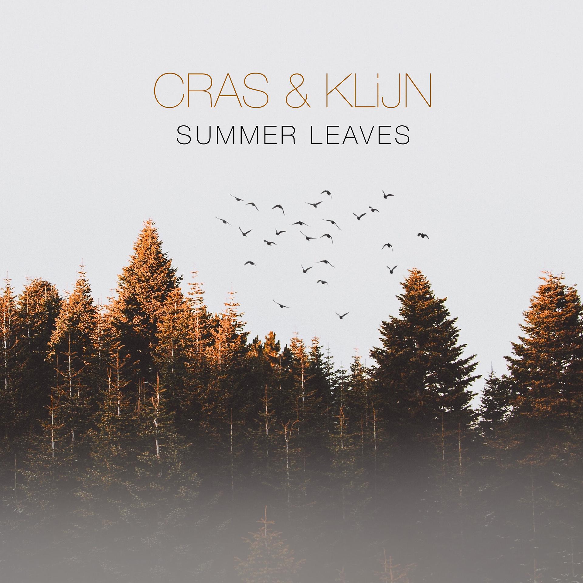 Постер альбома Summer Leaves