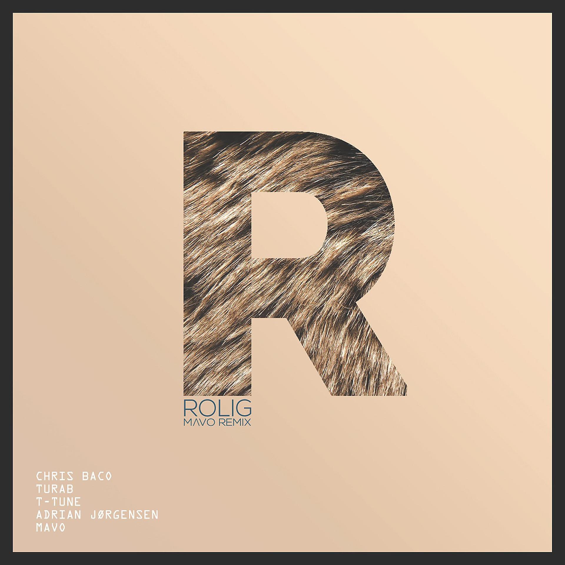 Постер альбома Rolig (Mavo Remix)