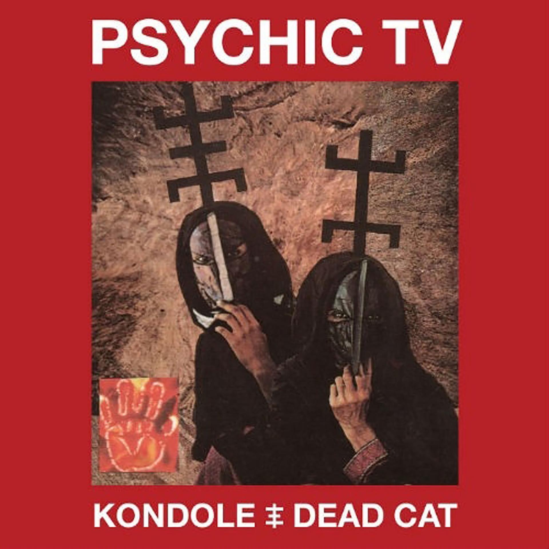 Постер альбома Kondole / Dead Cat
