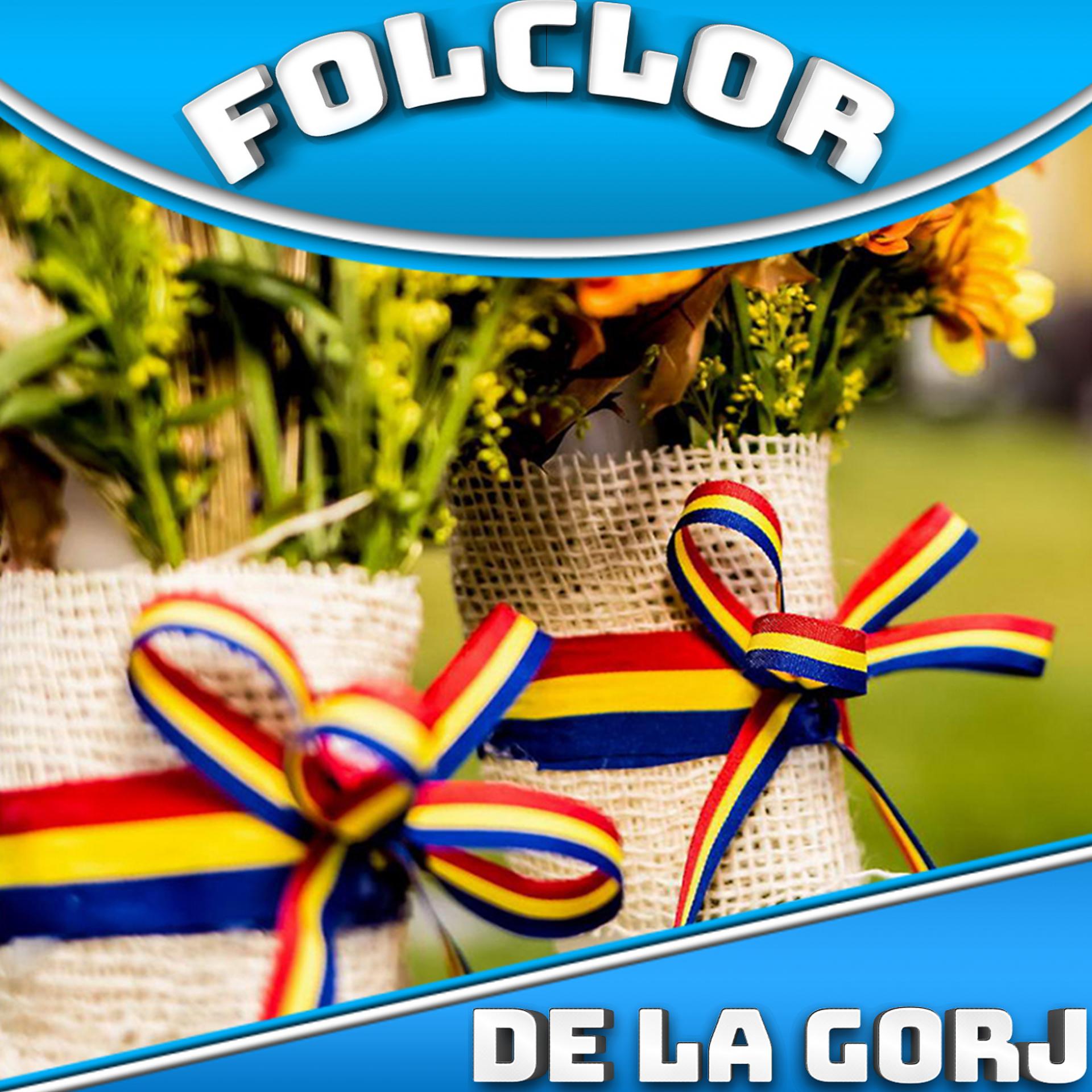 Постер альбома Folclor De La Gorj