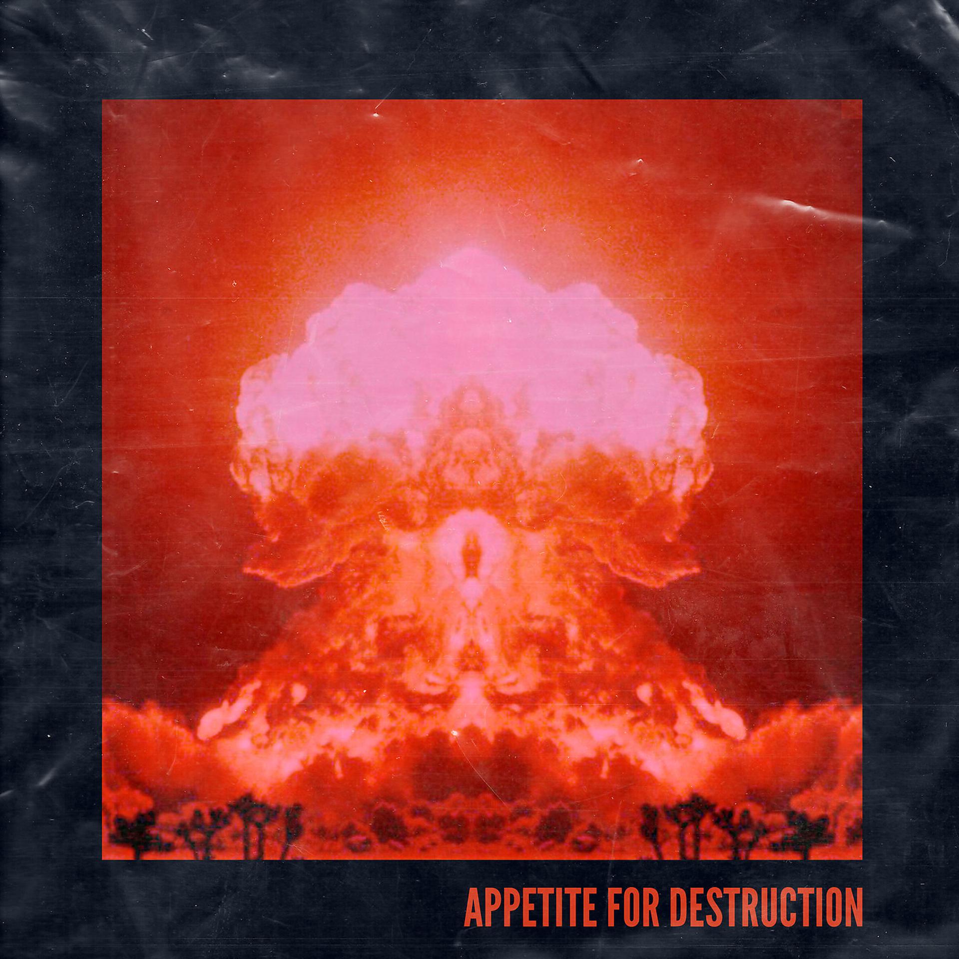 Постер альбома Appetite for Destruction