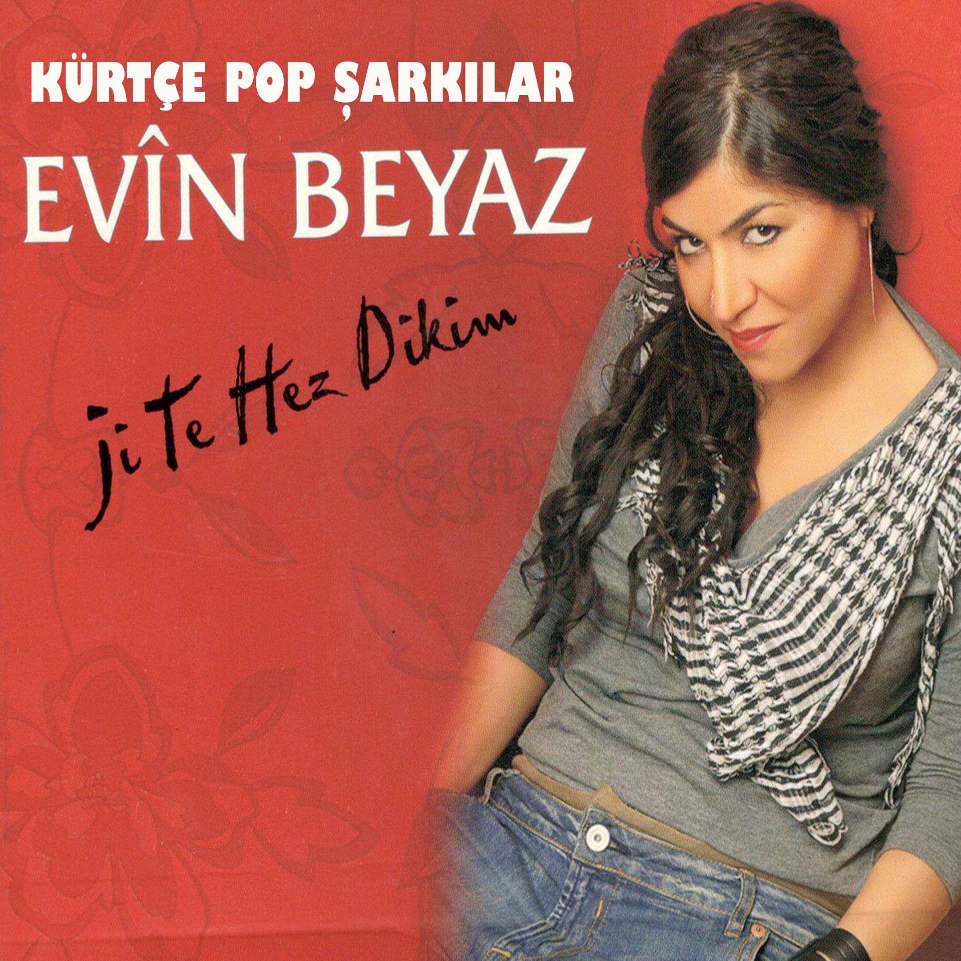 Постер альбома Kürtçe Pop Şarkılar / Ji Te Hez Dikim