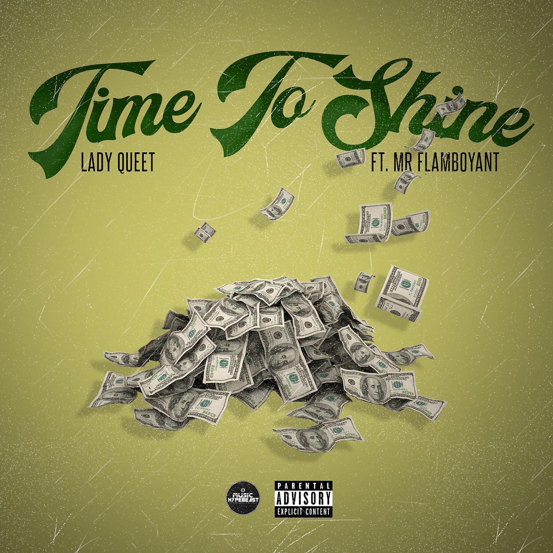 Постер альбома Time To Shine (feat. Mr. Flamboyant)