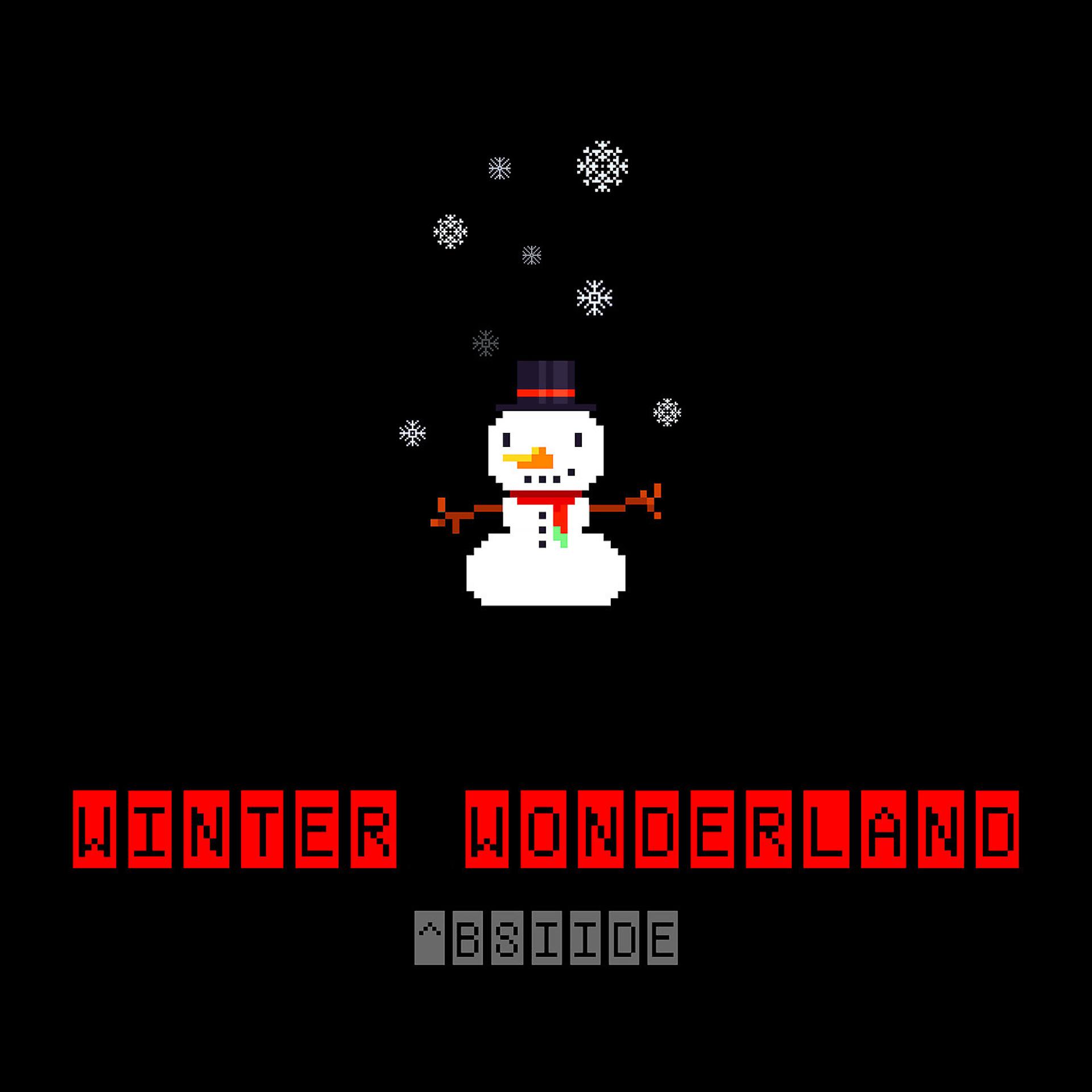 Постер альбома Winter Wonderland ^Bsiide