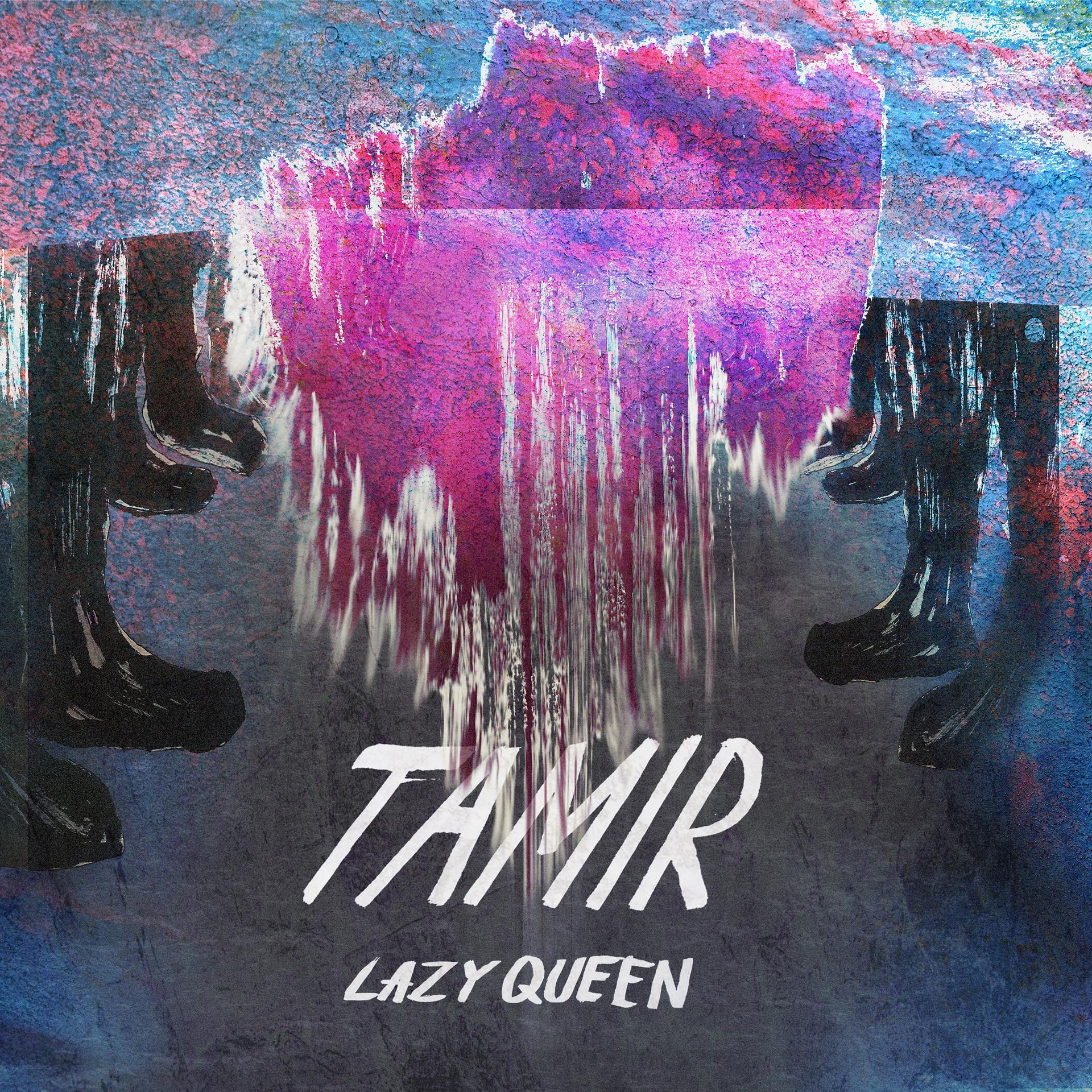 Постер альбома Tamir