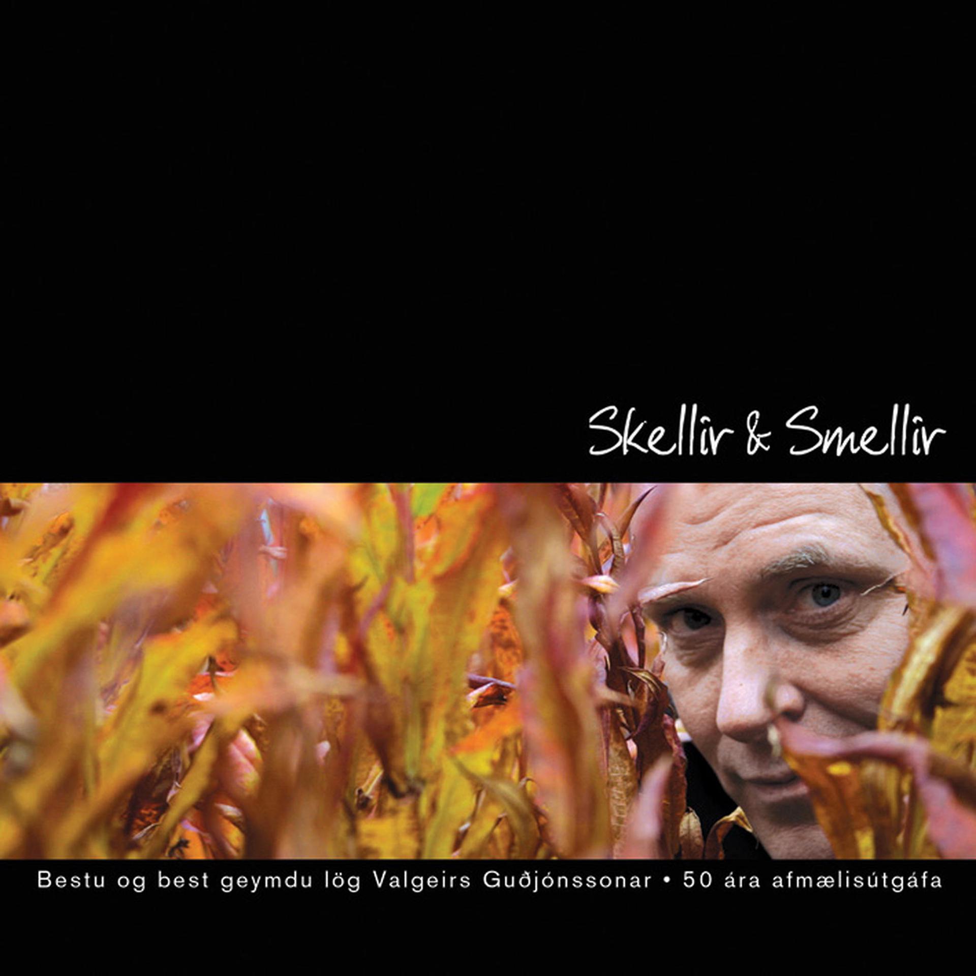 Постер альбома Skellir & Smellir