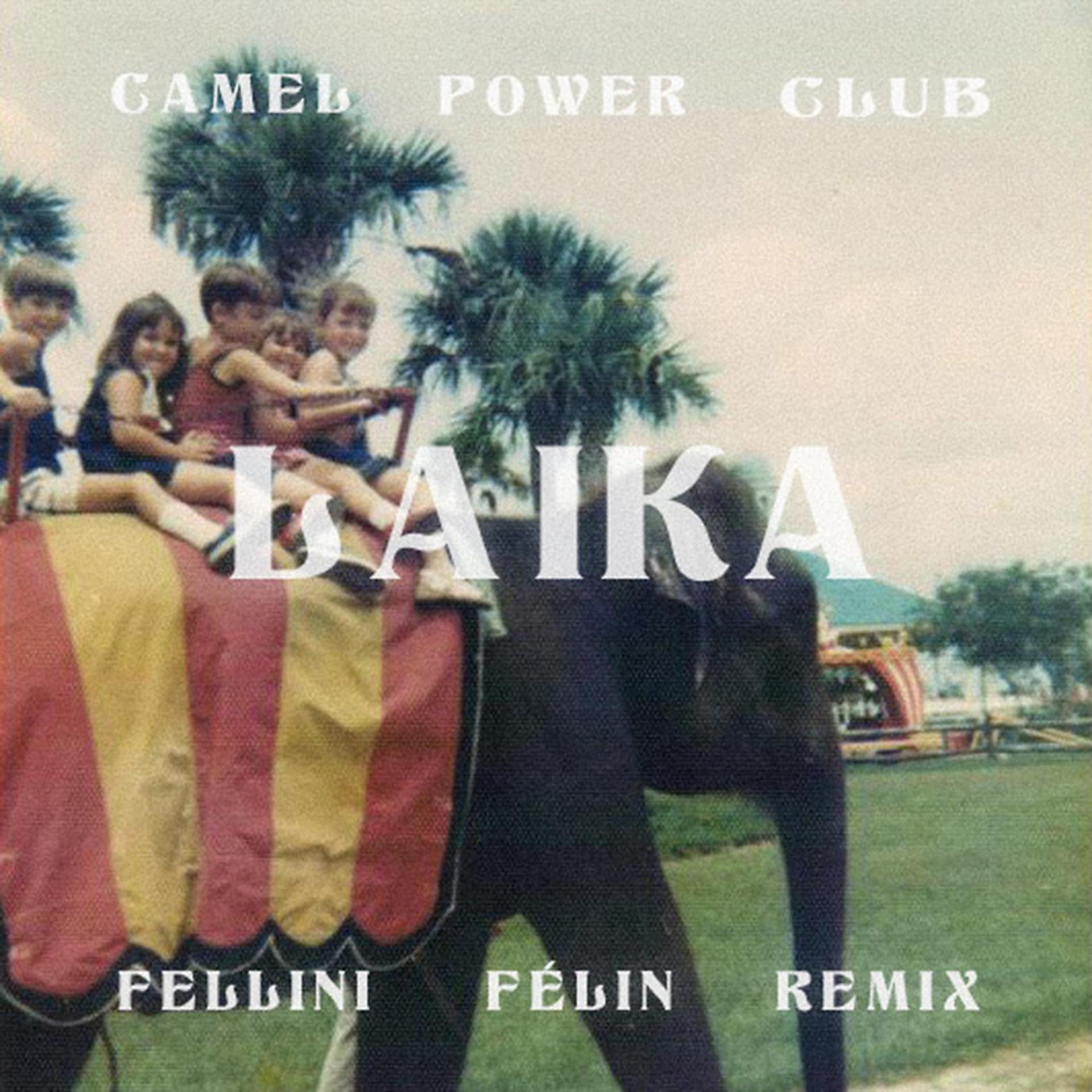 Постер альбома Laïka (Fellini Félin Remix)