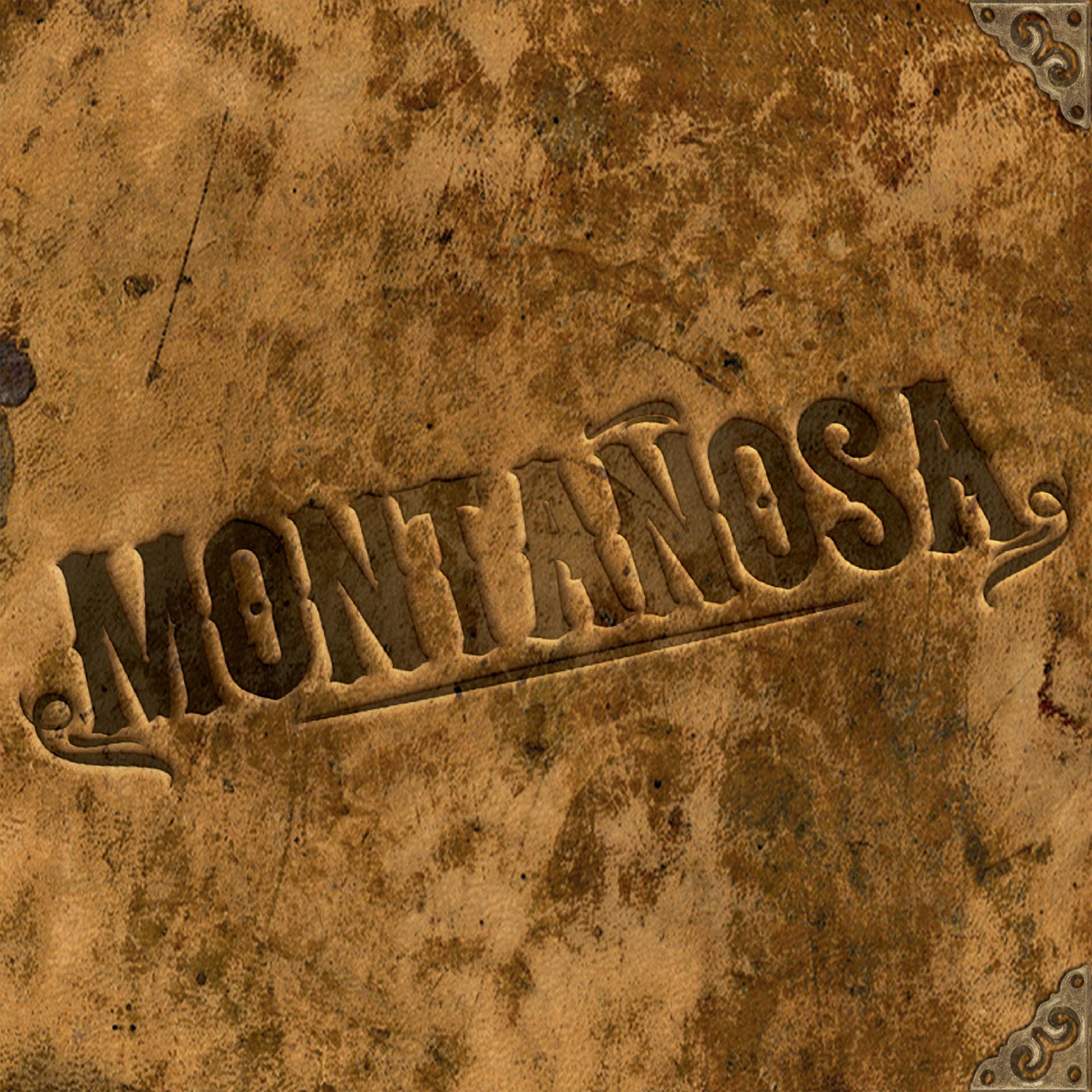 Постер альбома Montañosa