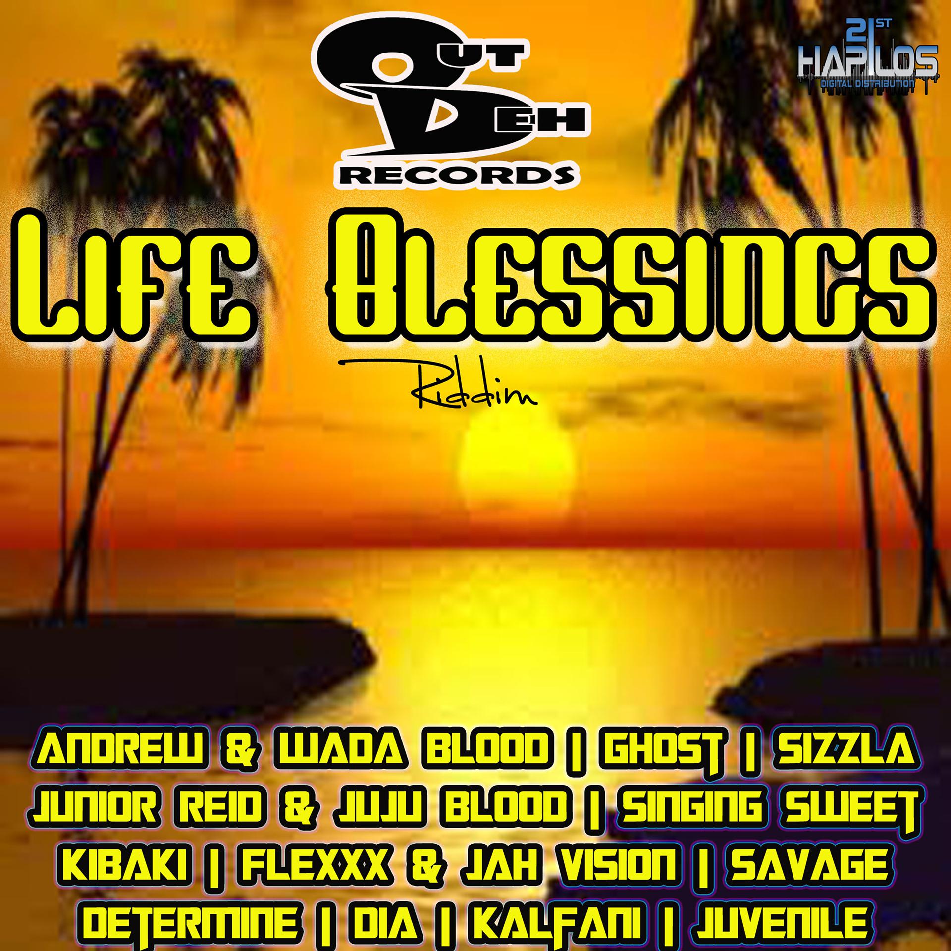Постер альбома Life Blessings Riddim