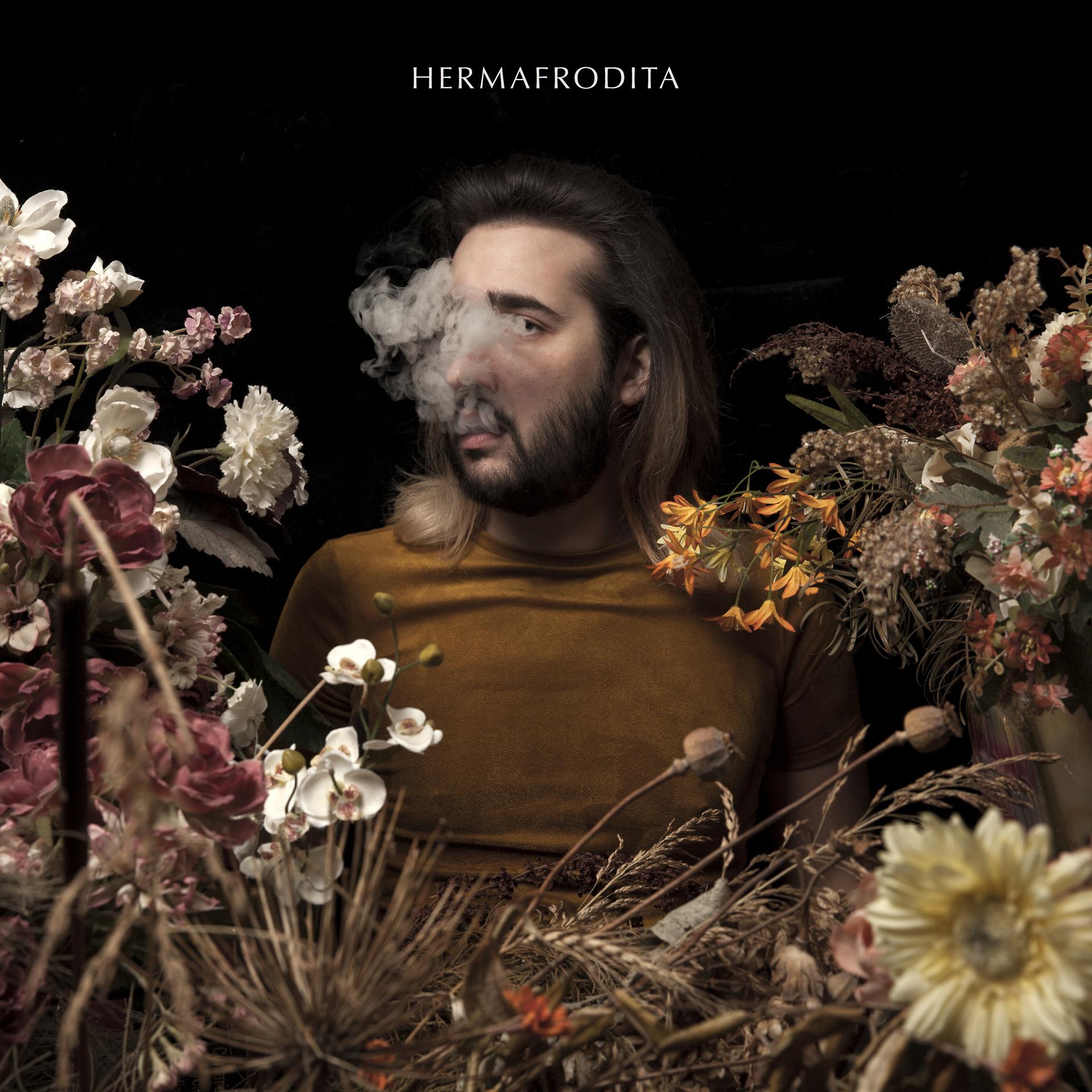 Постер альбома Hermafrodita