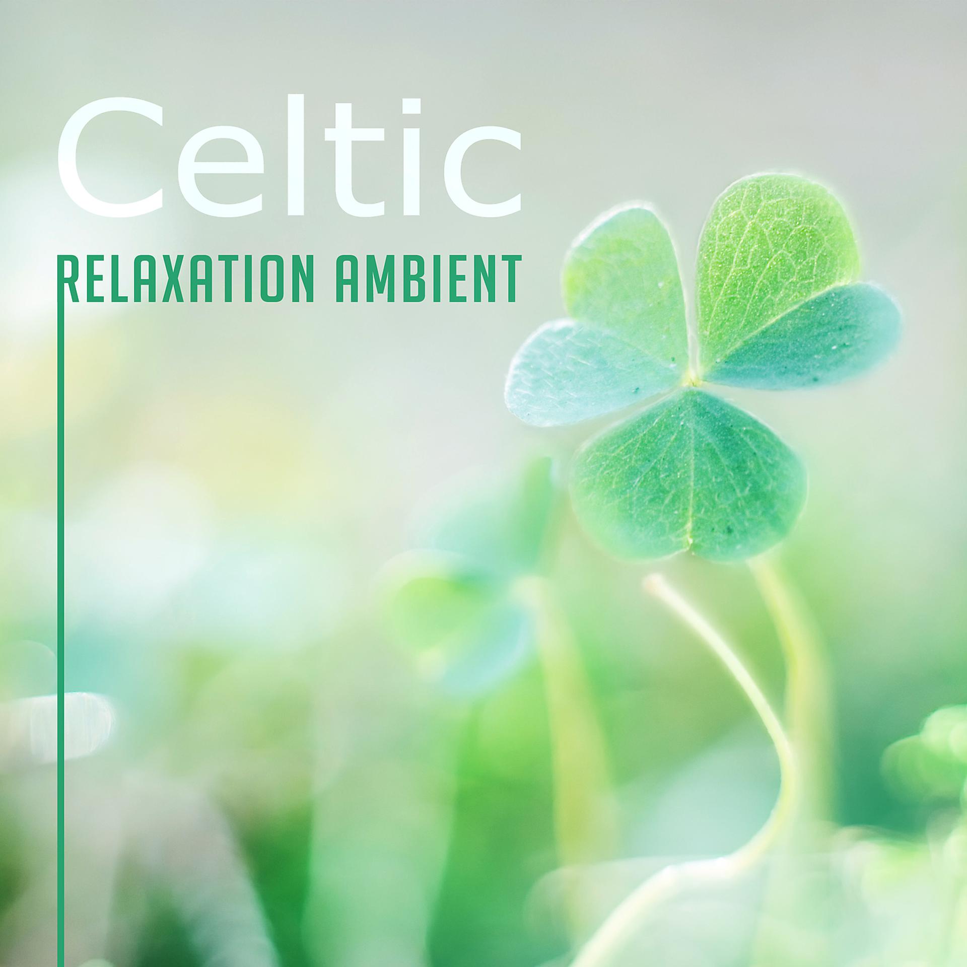 Постер альбома Celtic Relaxation Ambient: Calming Sounds of Harp & Flute for Meditation, Spirituality & Tranquility, Irish Spa Dreams, Sleep Celtic Hypnosis
