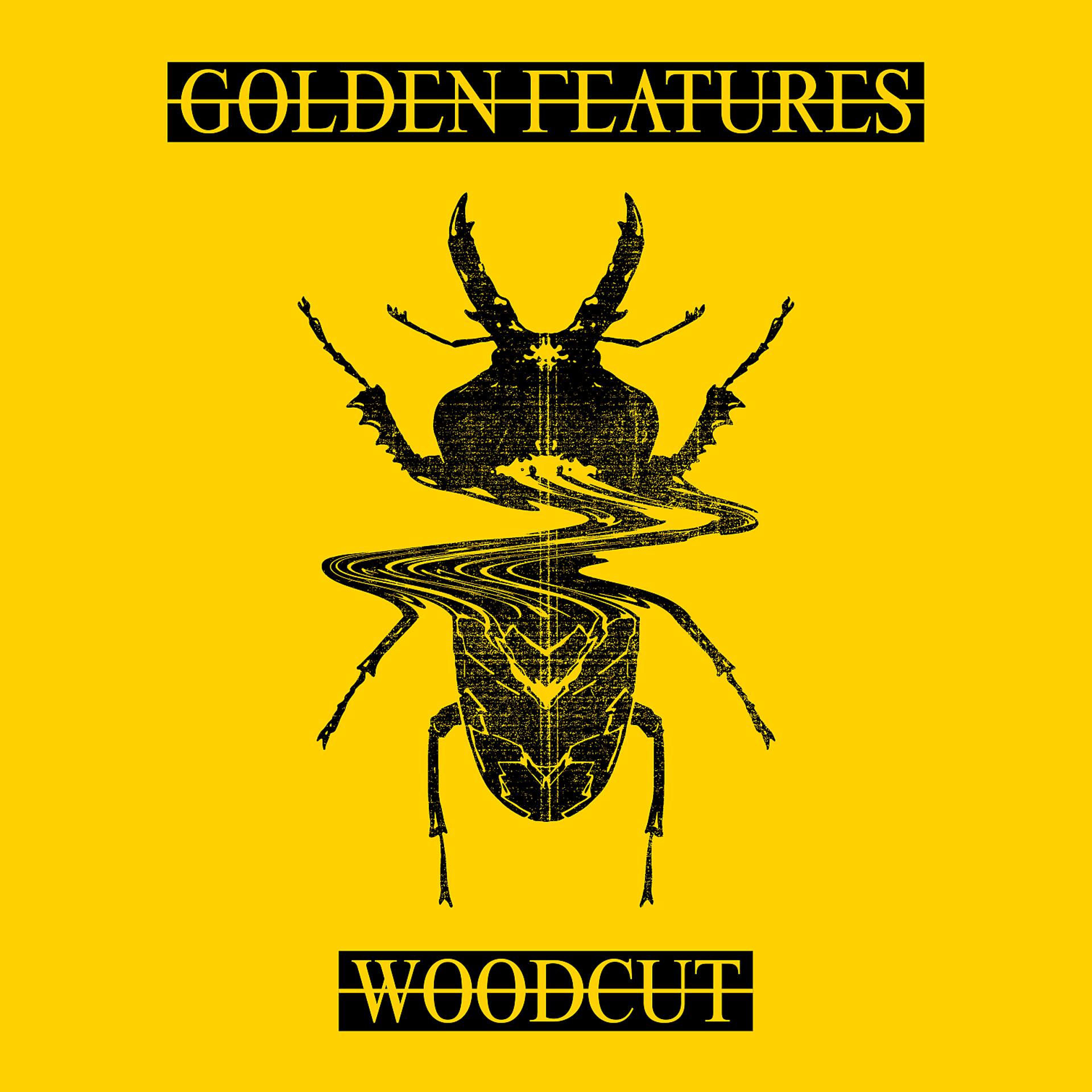 Постер альбома Woodcut (feat. Rromarin) [Remixes]