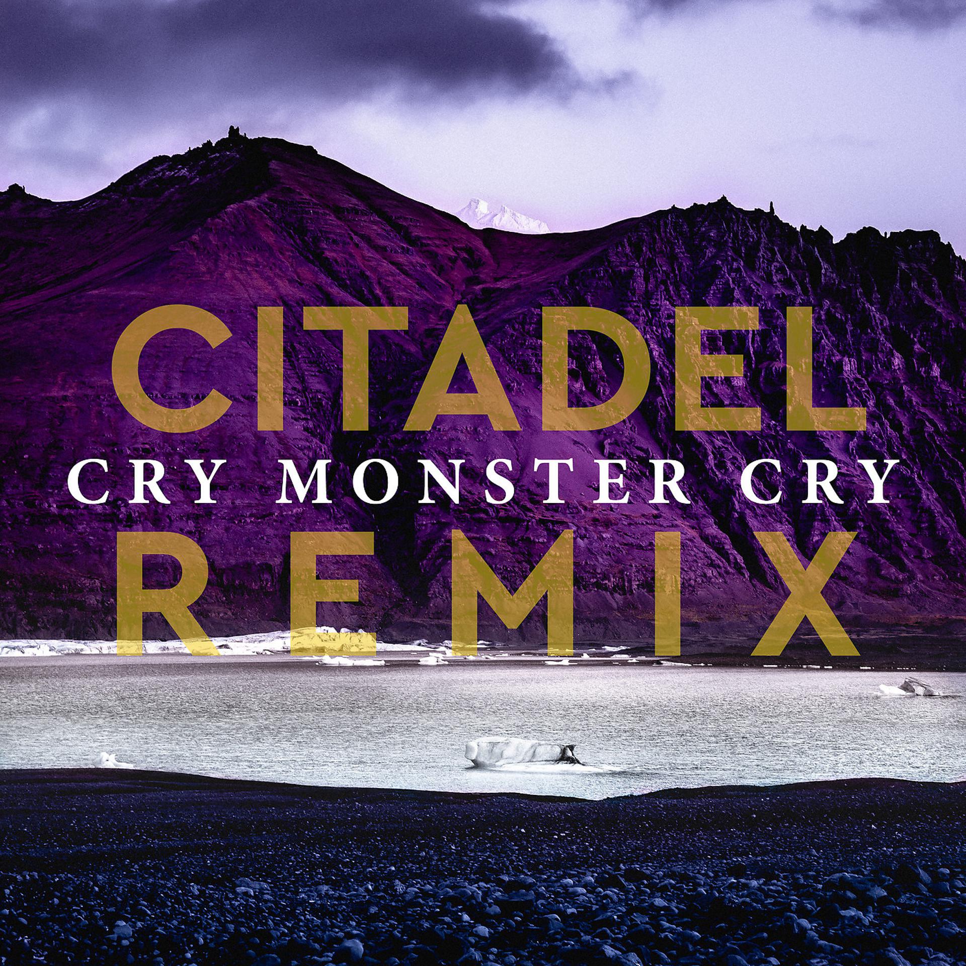 Постер альбома Citadel (Richey McCourt Remix)