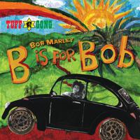 Постер альбома B Is For Bob