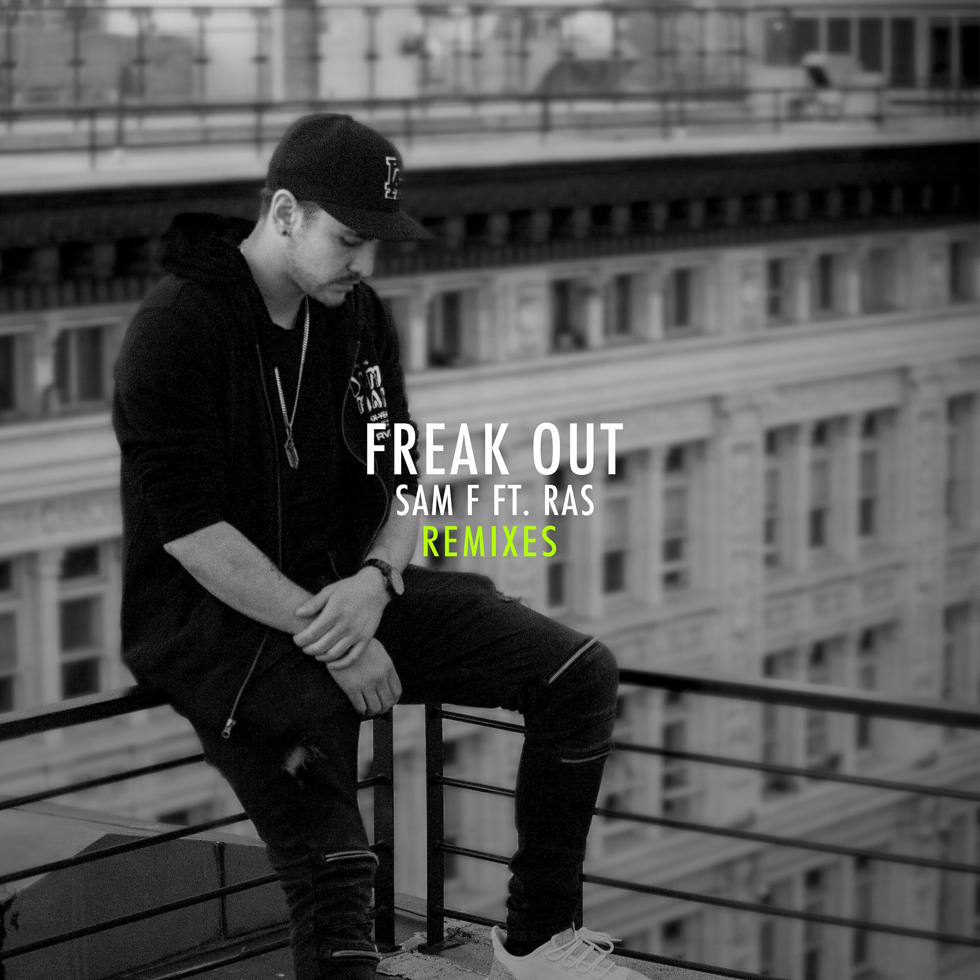Постер альбома Freak Out (Remixes)