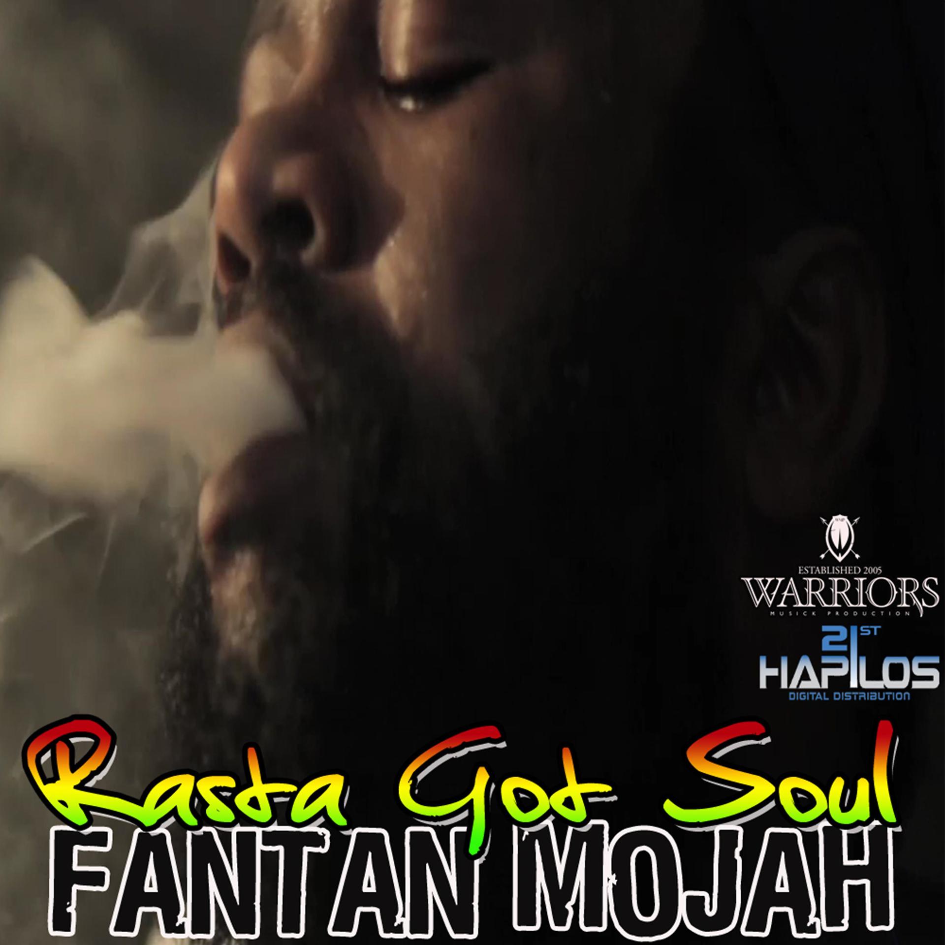Постер альбома Rasta Got Soul